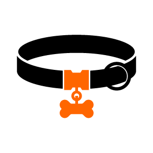 Functional pet gear
