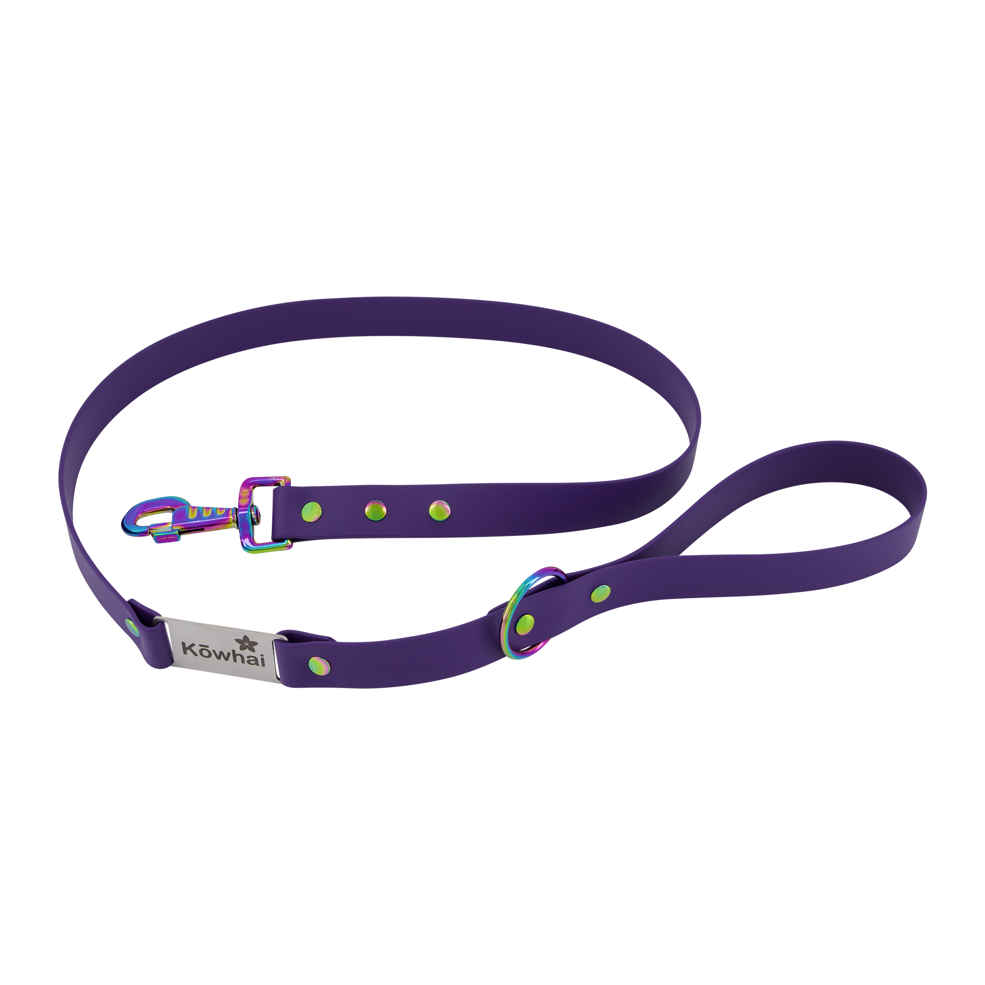 Labelled Dog Lead - Royal Blue