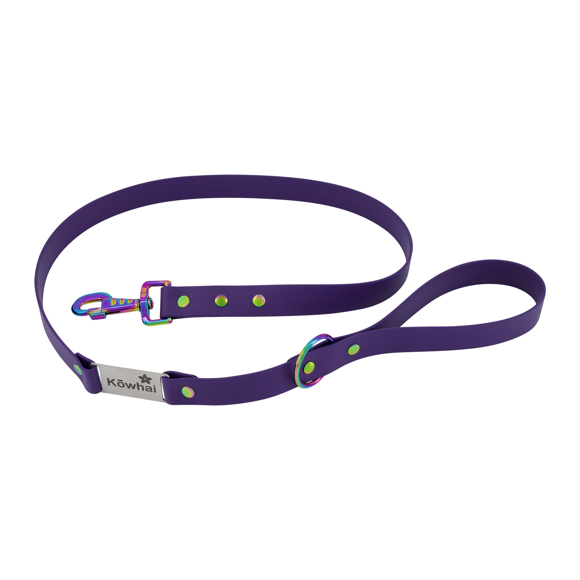 Labelled Dog Lead - Royal Blue