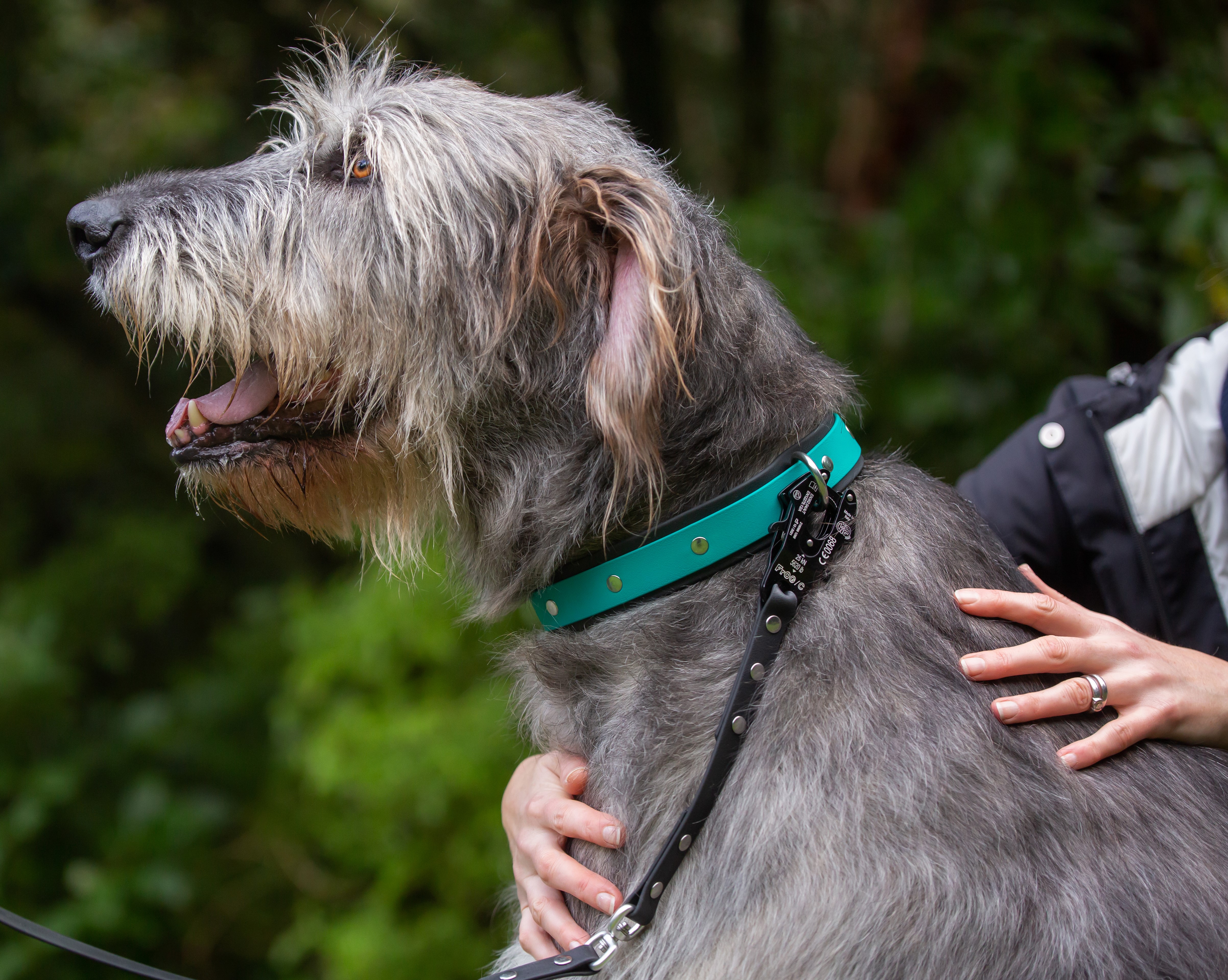 Tactical Dog Lead - Irish Wolf Hound