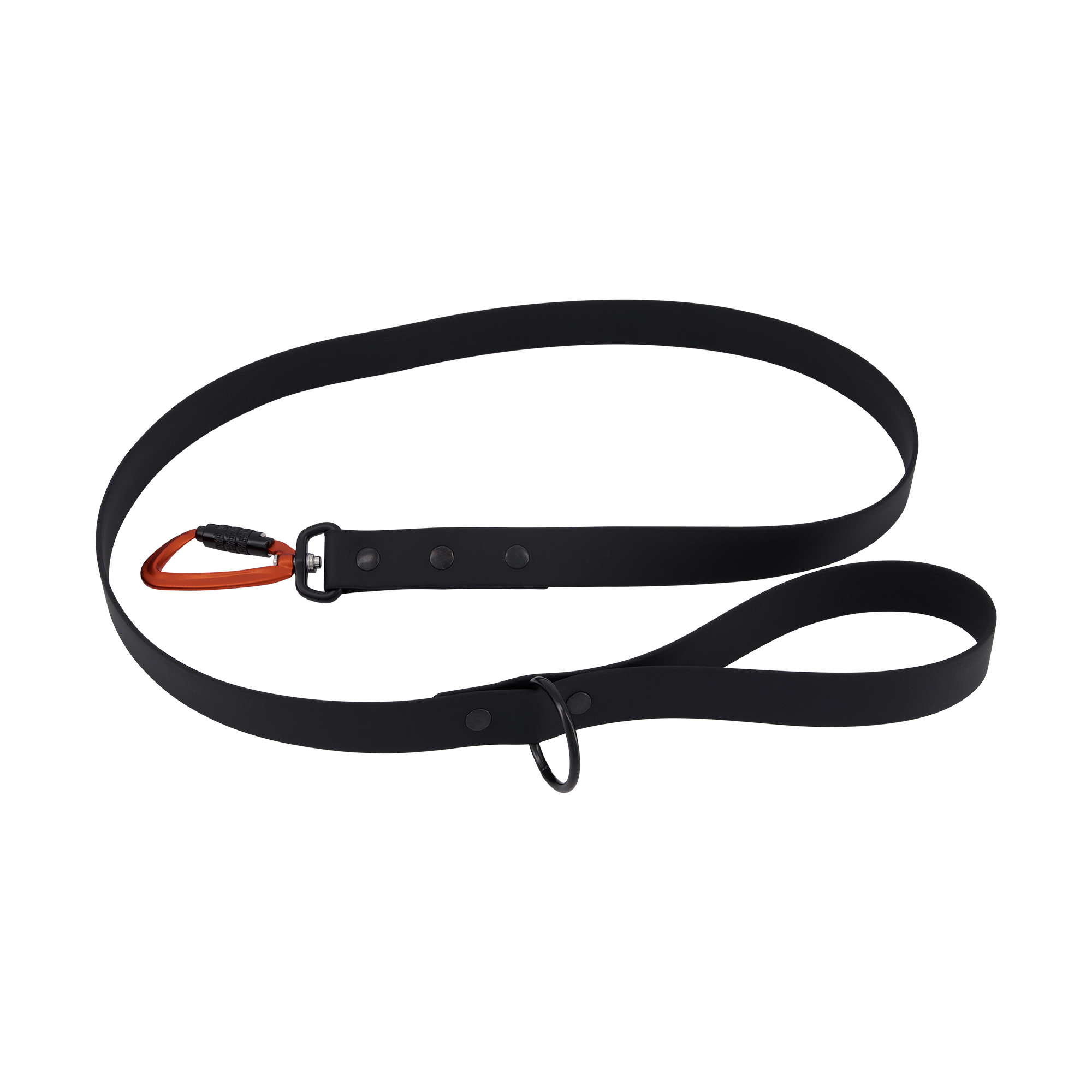 Carabiner Dog Lead - Black