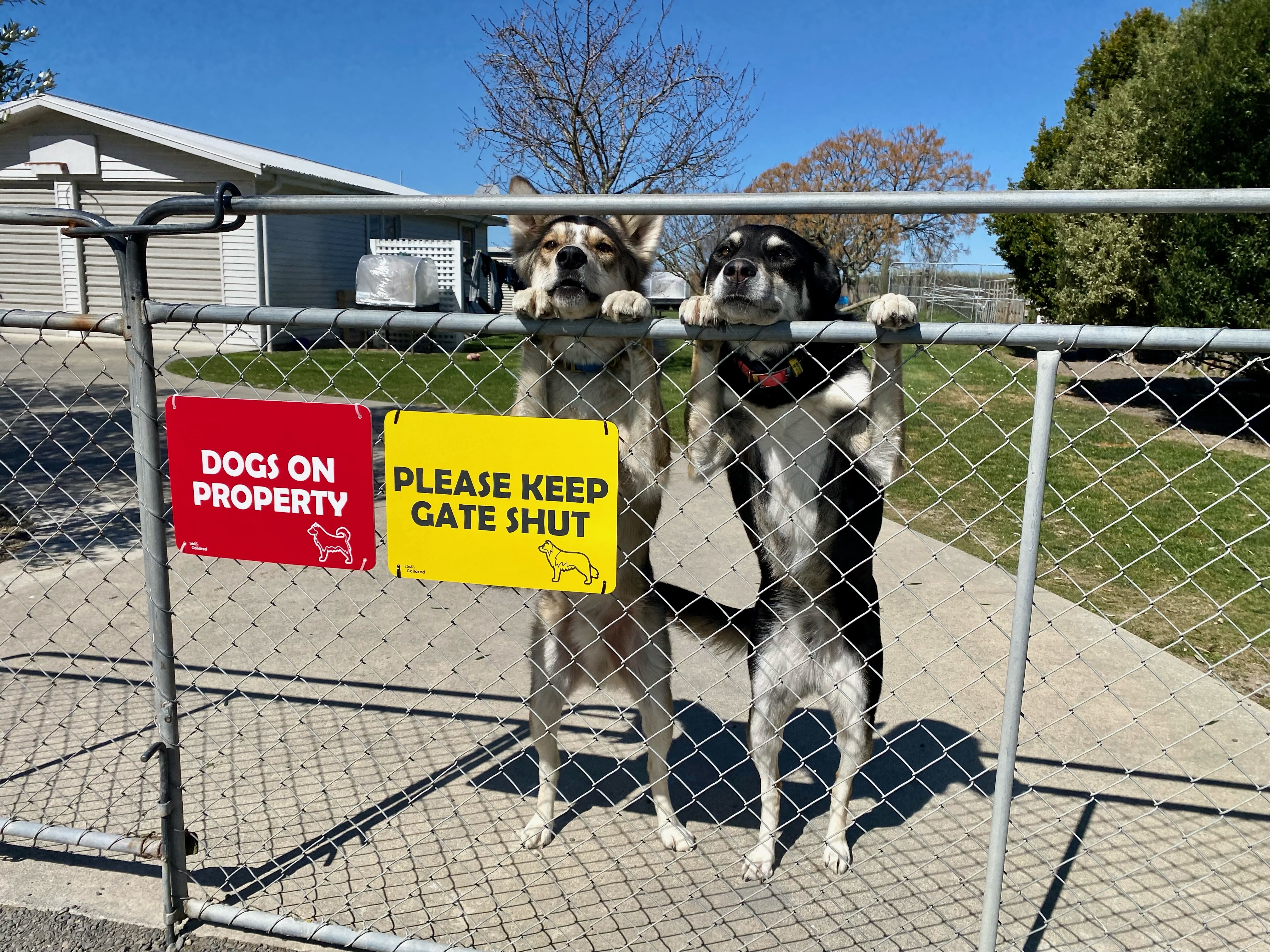 Custom Signs on Gate