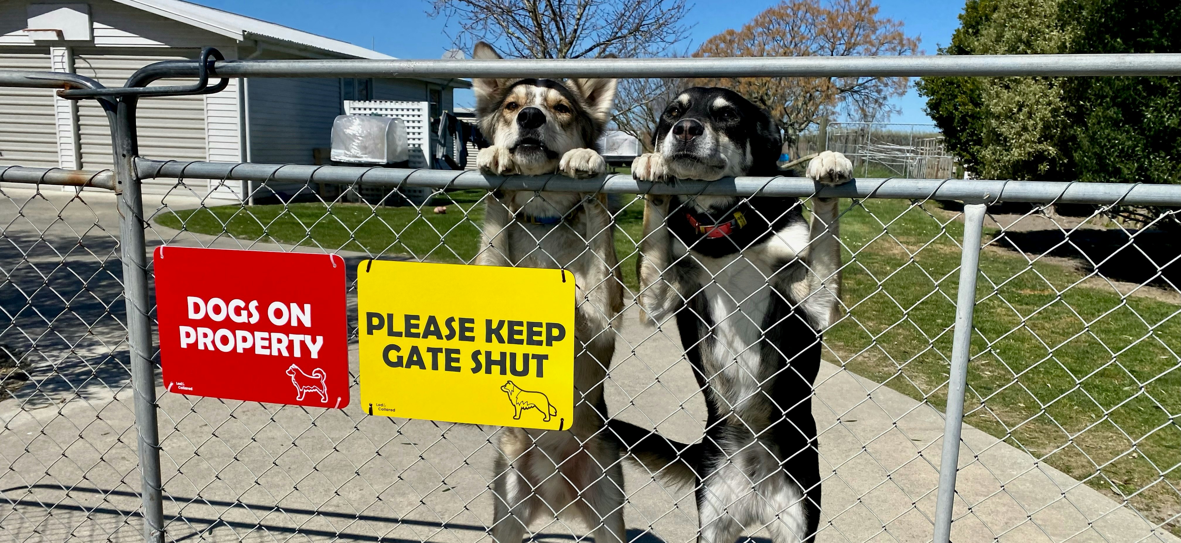 Custom signs on gate