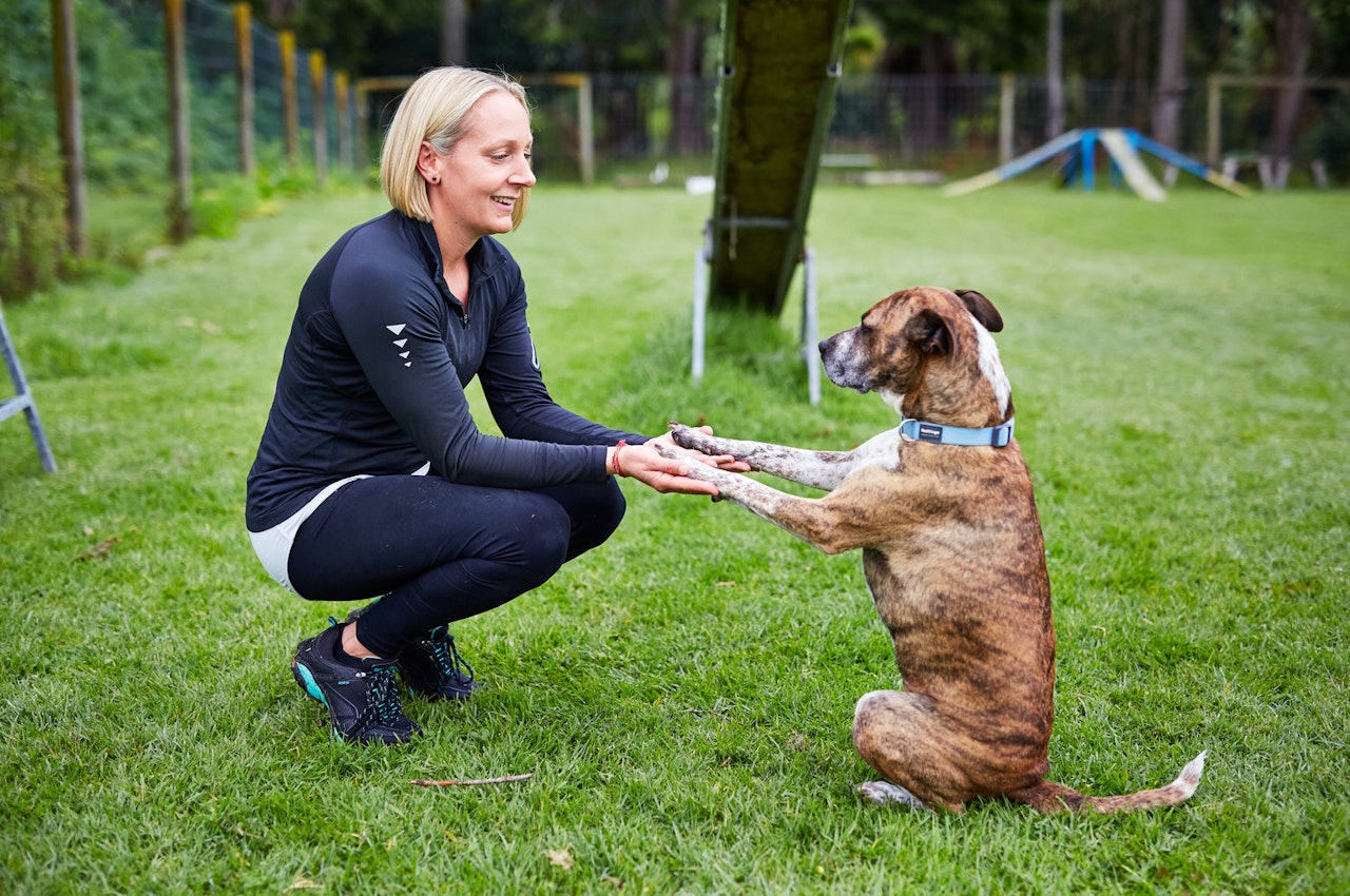 Augusta Grayson - Canine Training