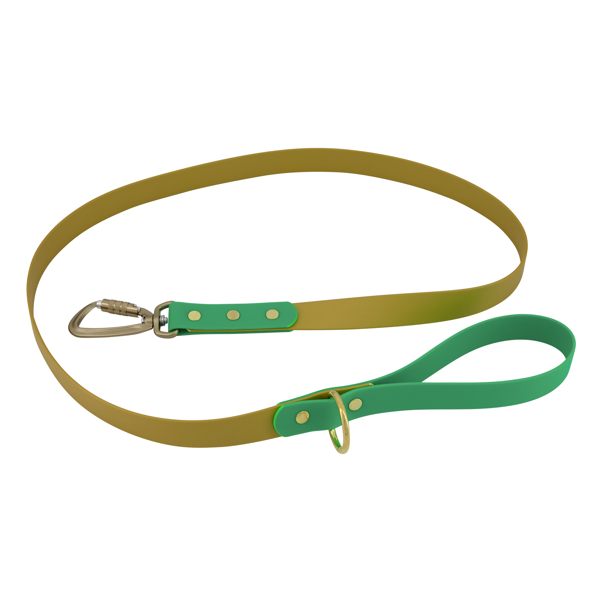 Two-Tone Carabiner Lead - Gold and Green