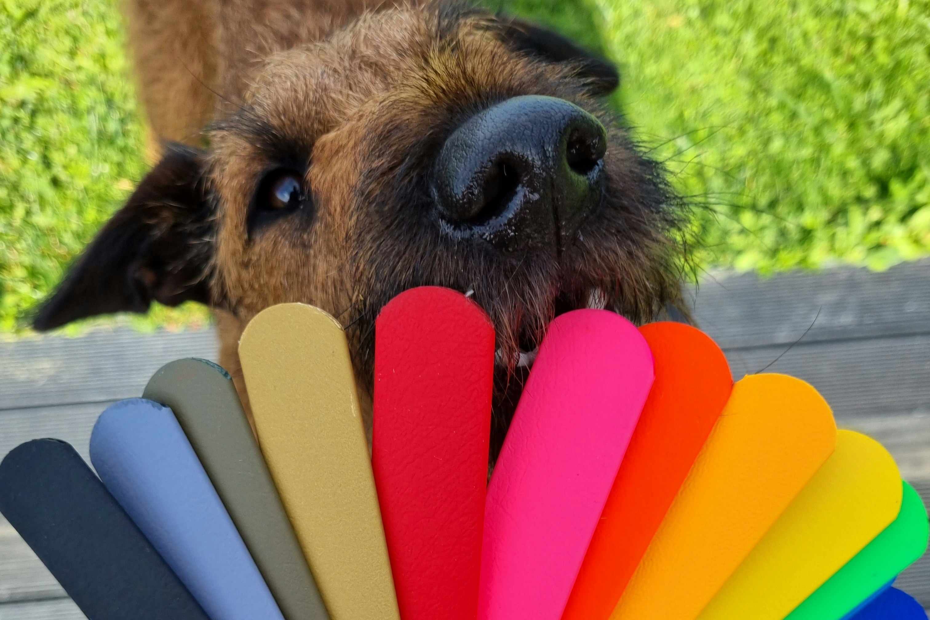 Product specifications - biothane and Irish Terrier