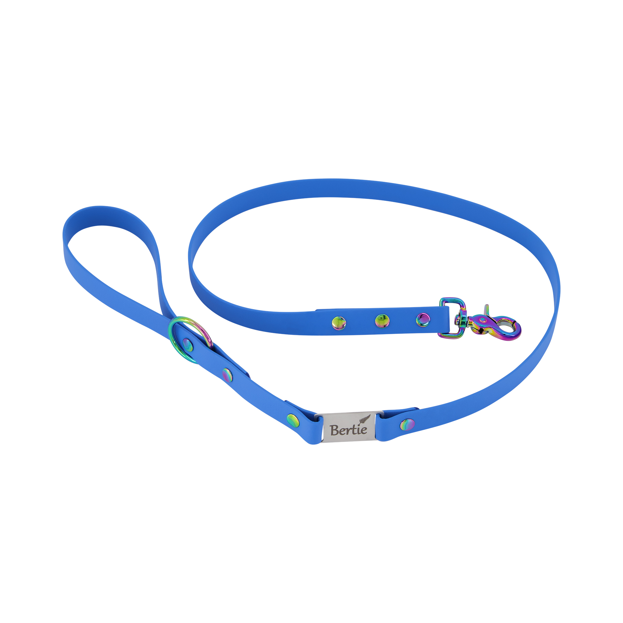 Labelled Dog Lead - Light Blue
