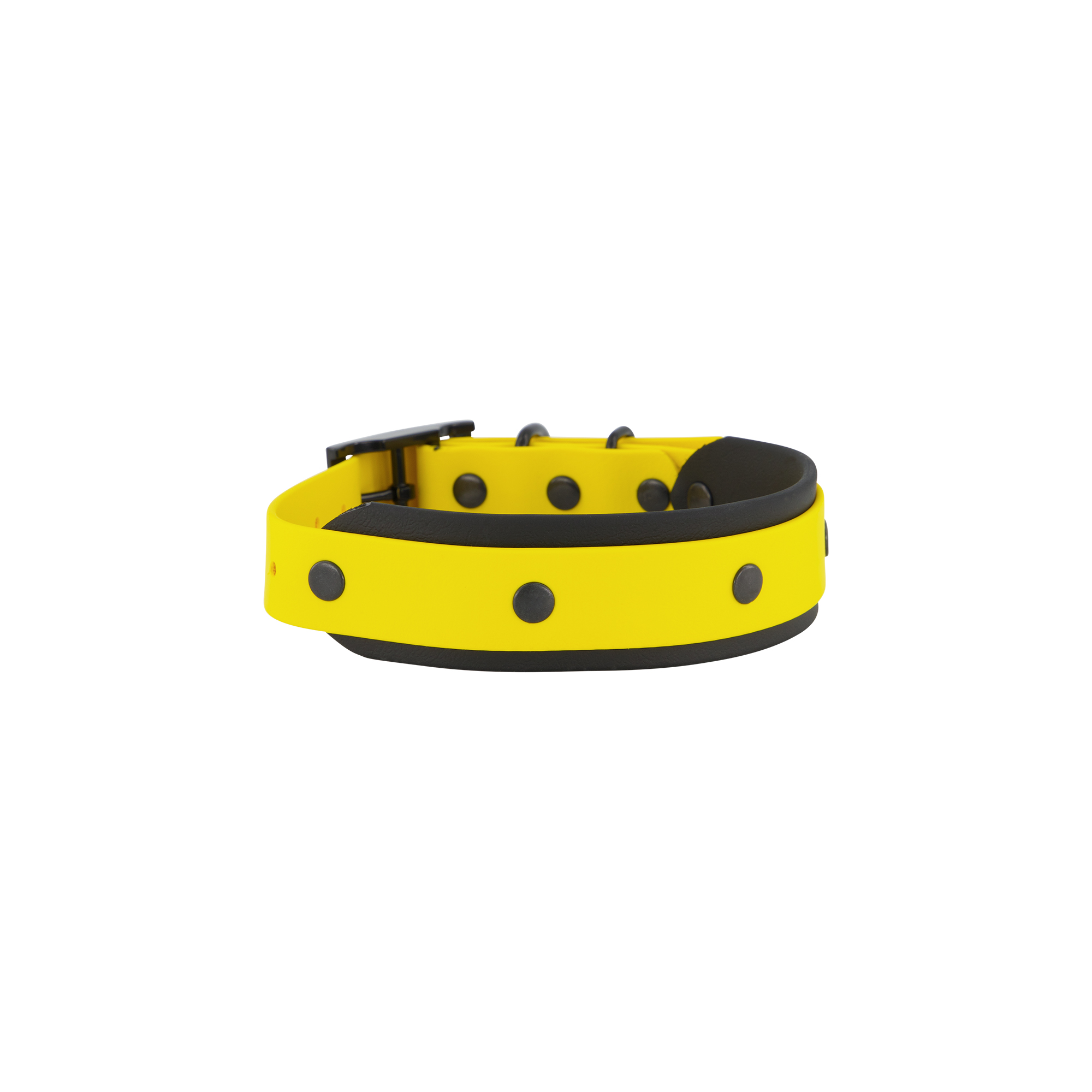 Led & Collared Double Dog Collar