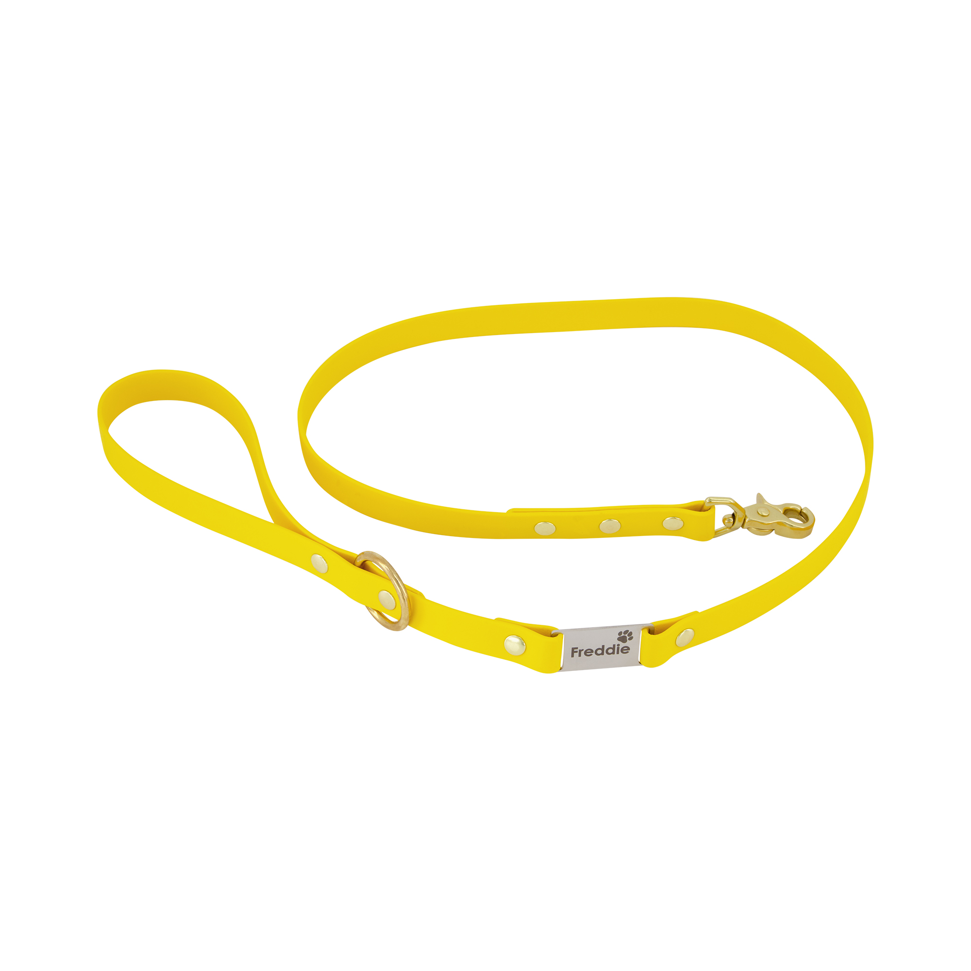 Labelled Dog Lead - Yellow