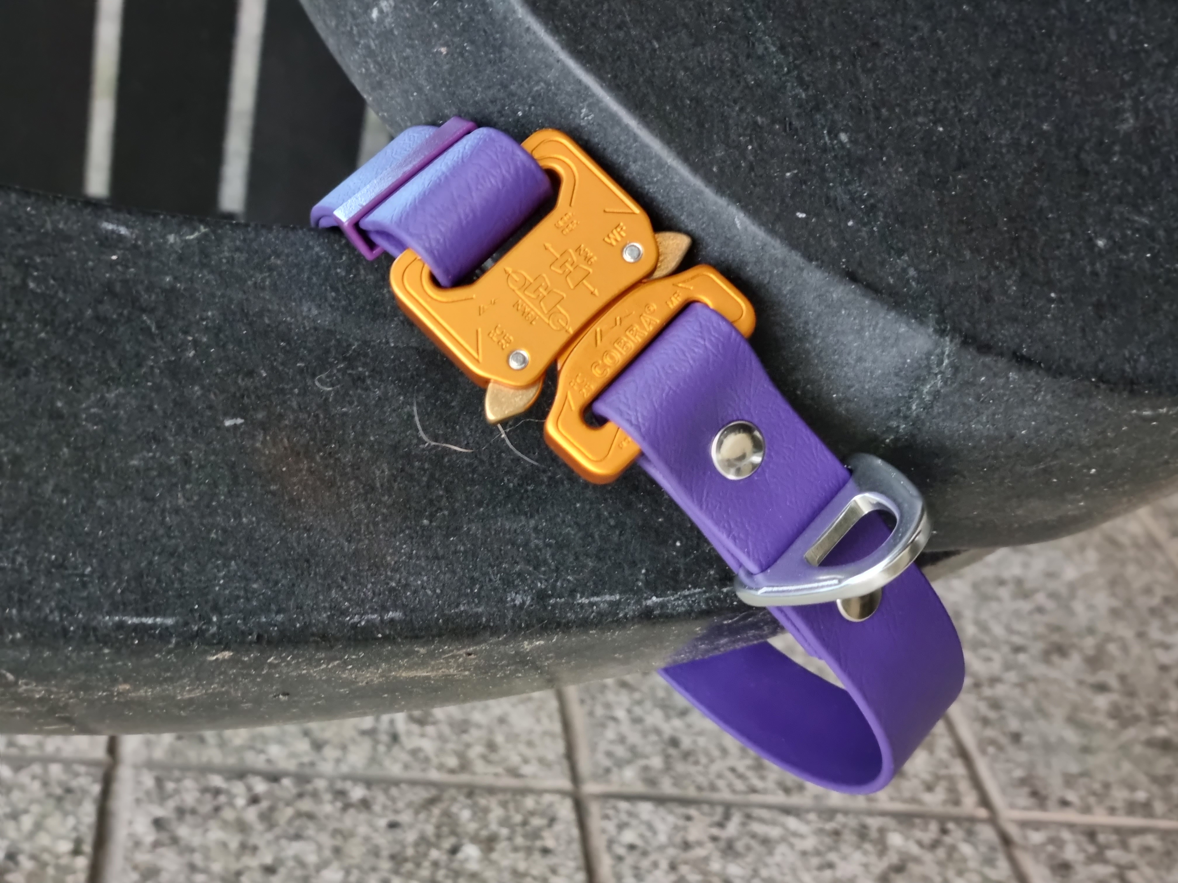 Cobra Dog Collar - Outdoors