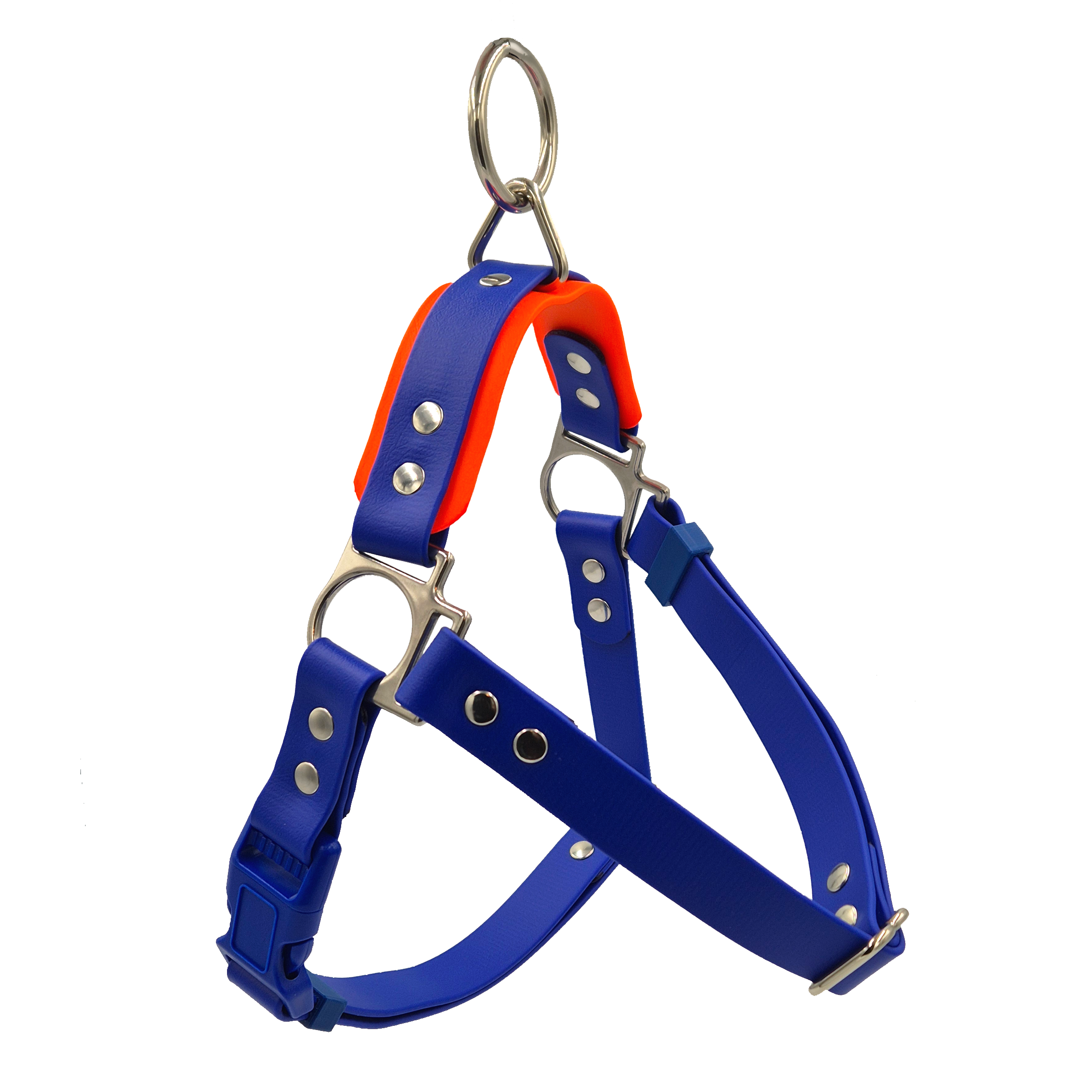 NEW Quick Release Dog Harness - Royal Blue and Bright Orange