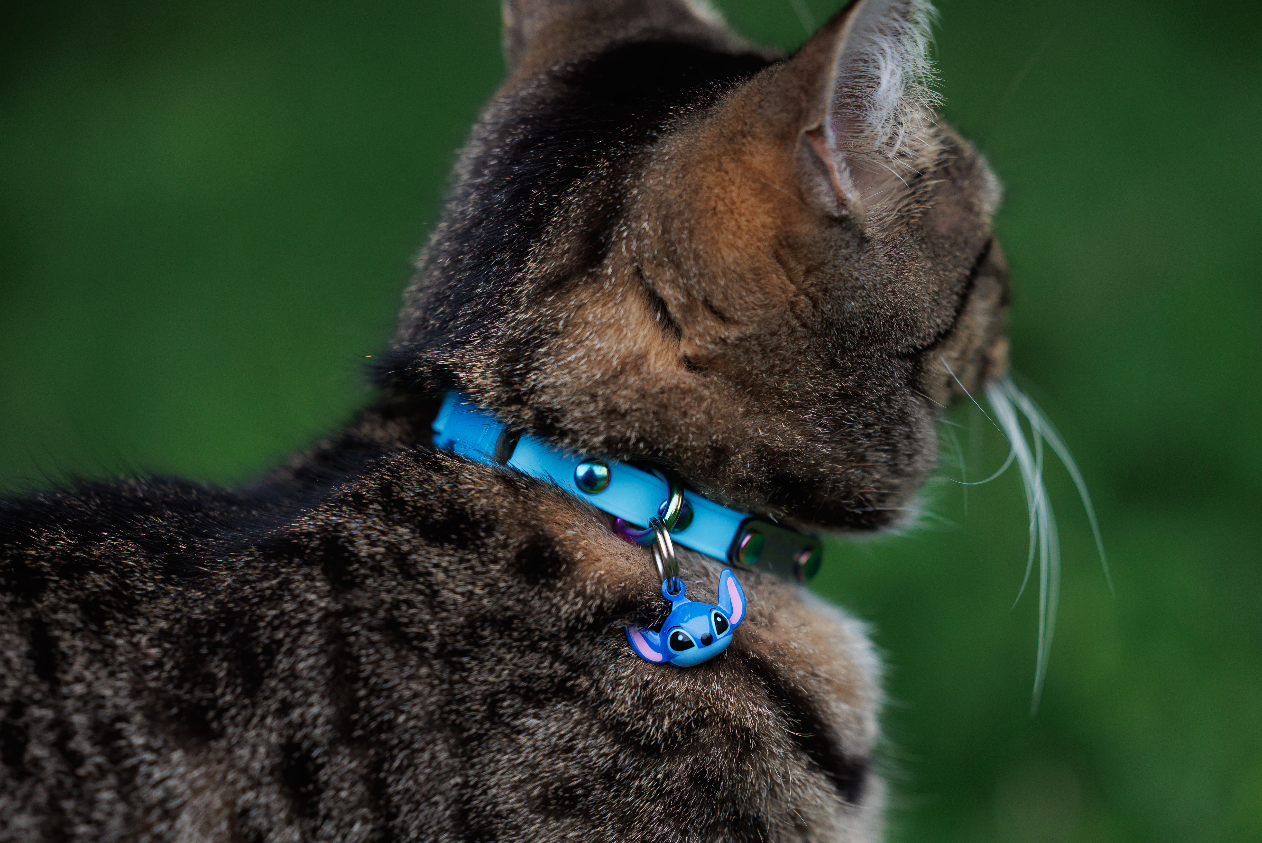 Floki Stitch Tinkle Bell