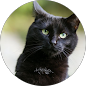 Jo Moore - Google Icon