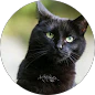 Jo Moore - Google Icon