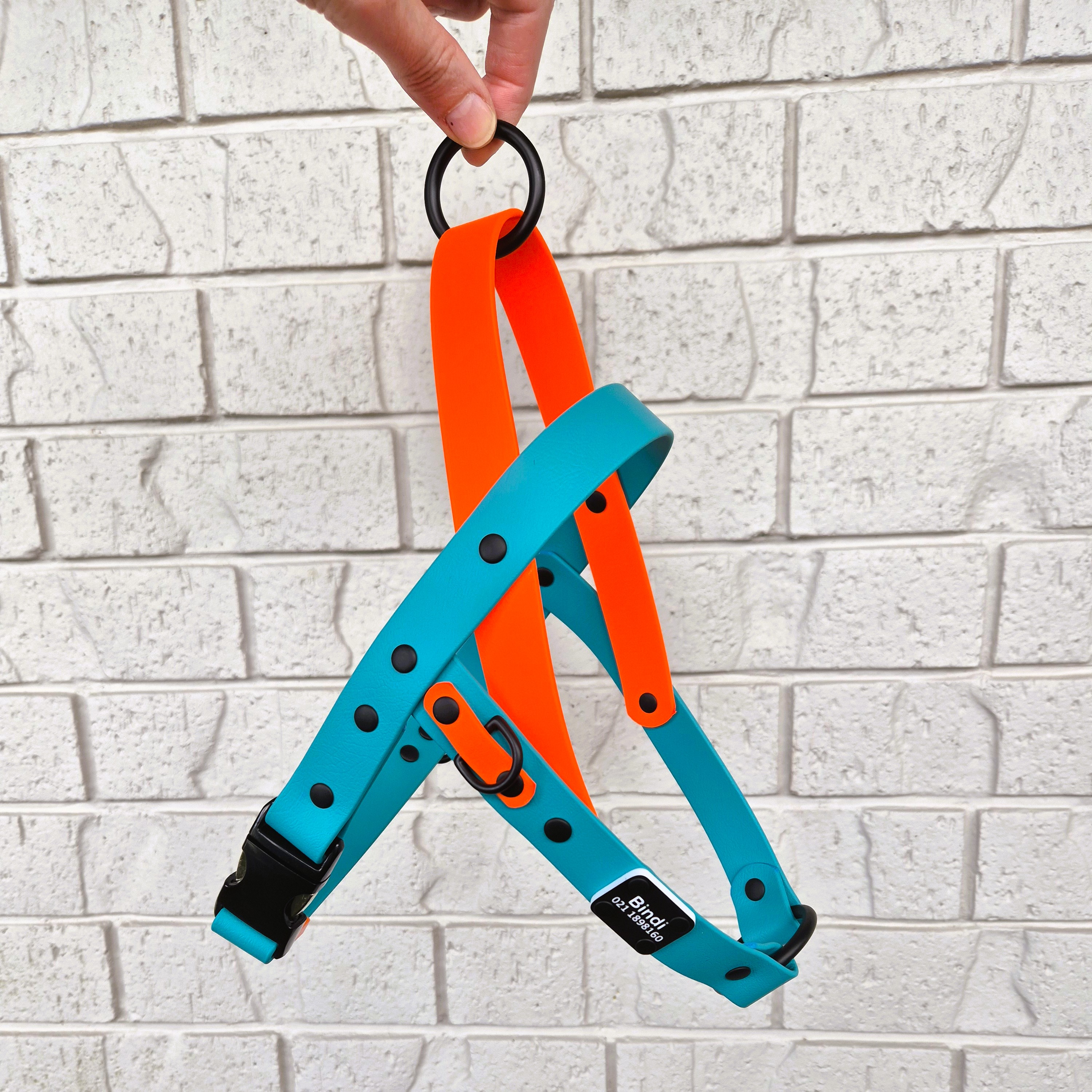 Quick Release Dog Harness - Teal and Orange