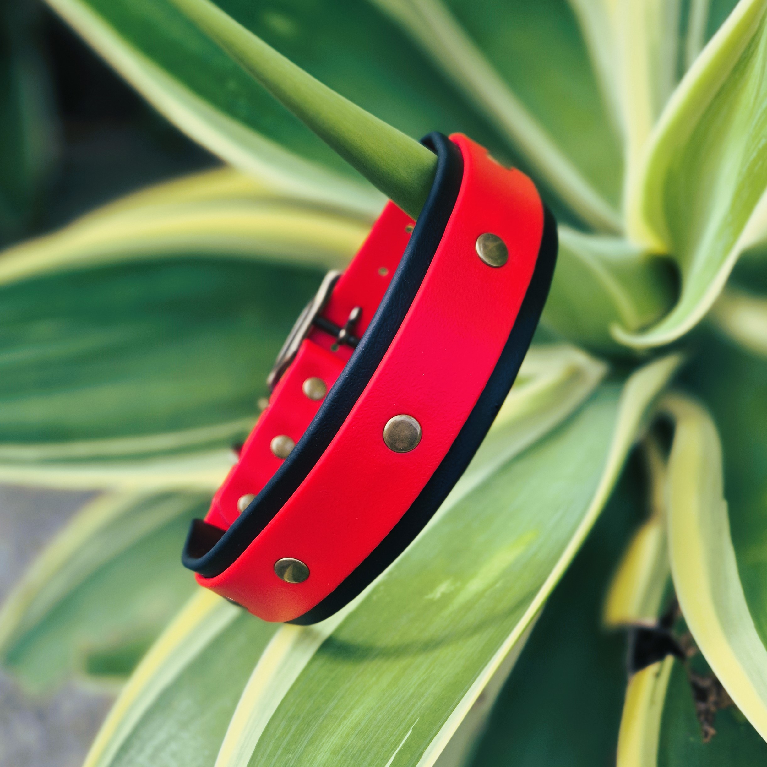 Double Dog Collar - Red & Black