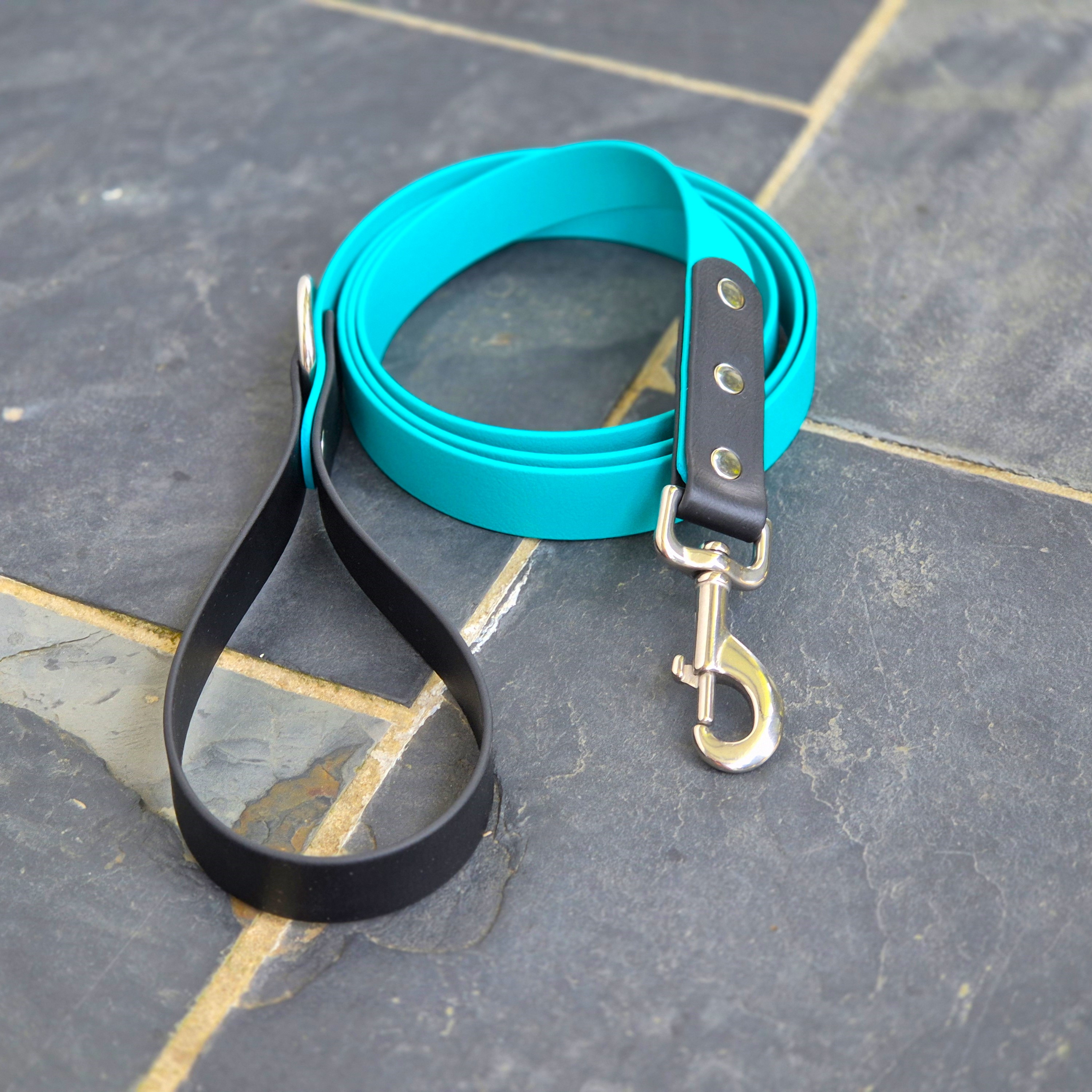 Dog lead - two tone - wide black teal - outdoor