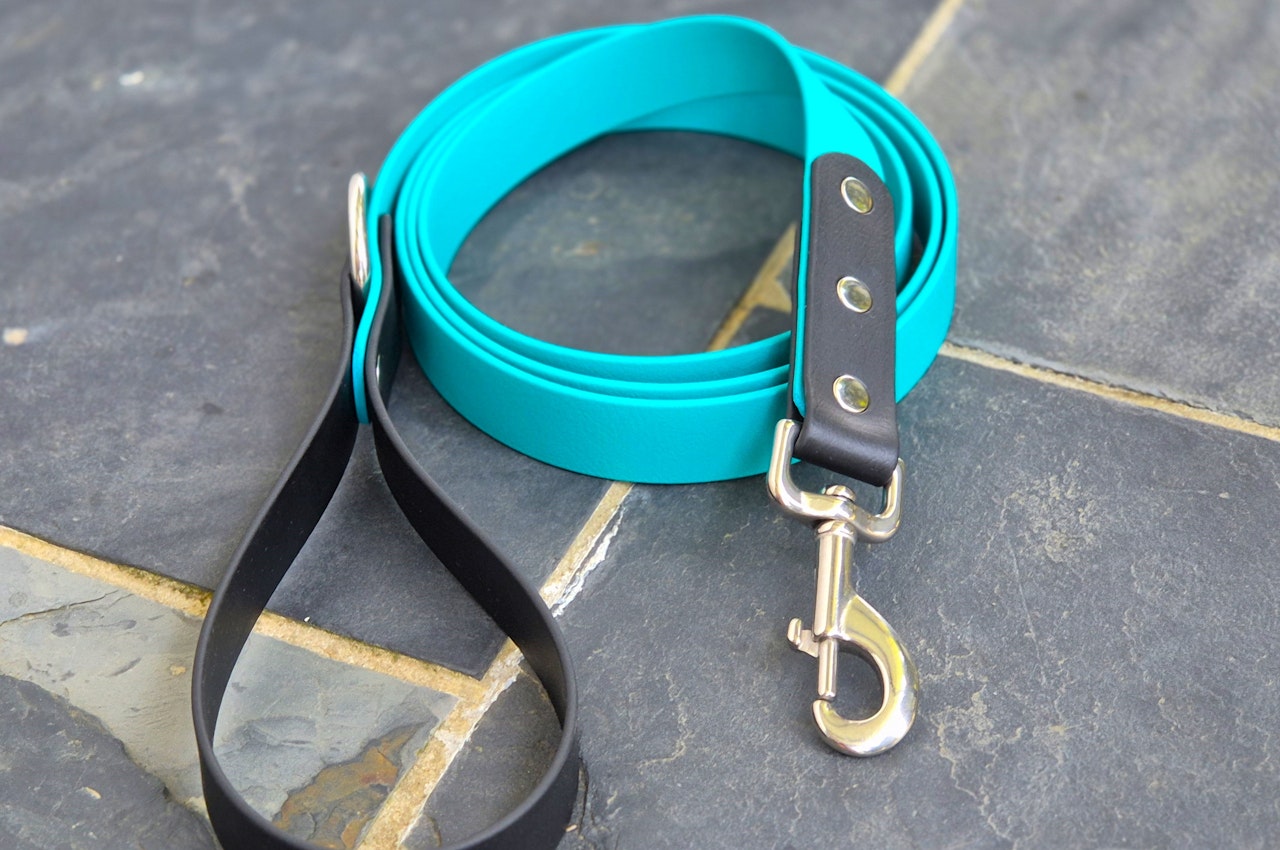 Dog lead - two tone - wide black teal - outdoor