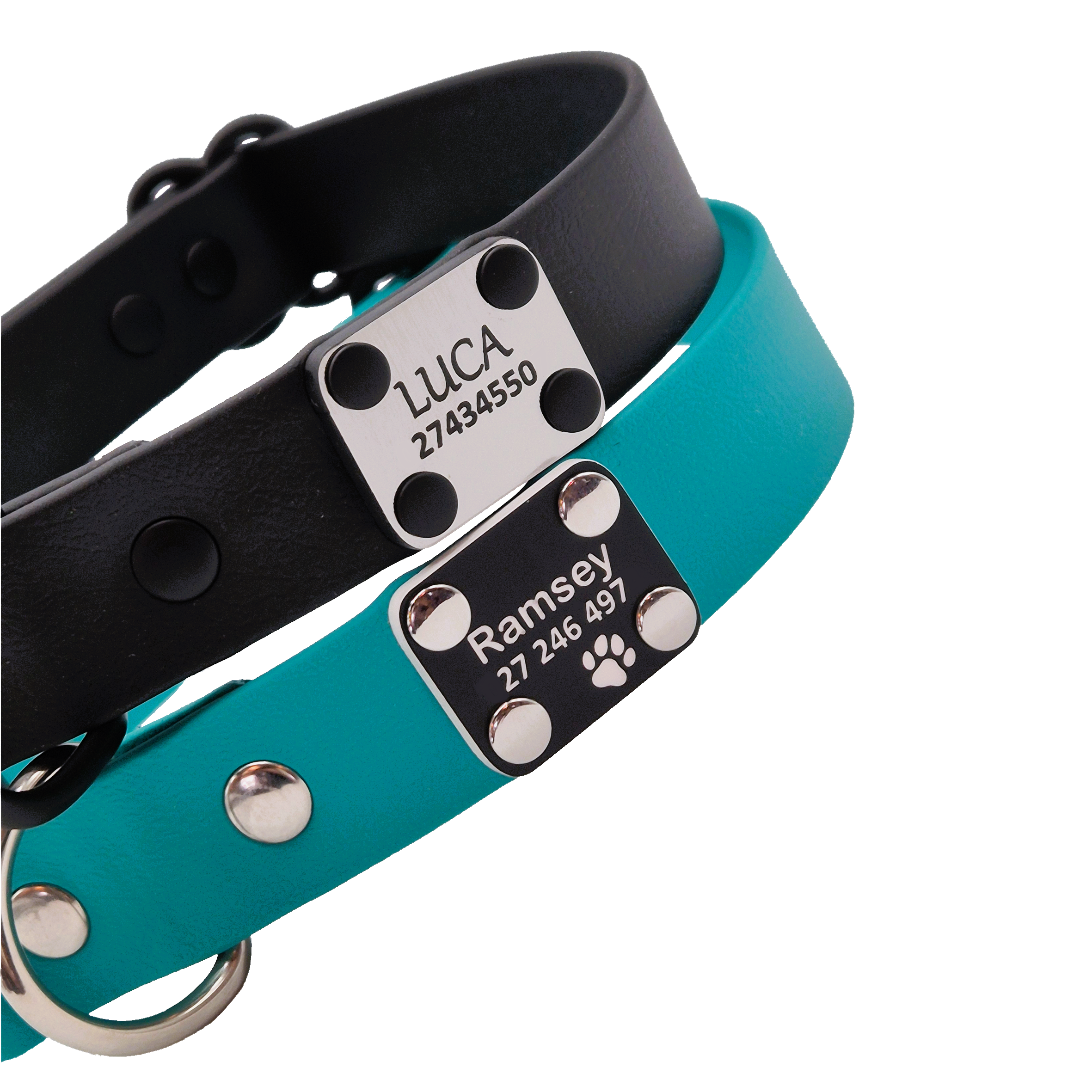 Scrag Tags for dog collars