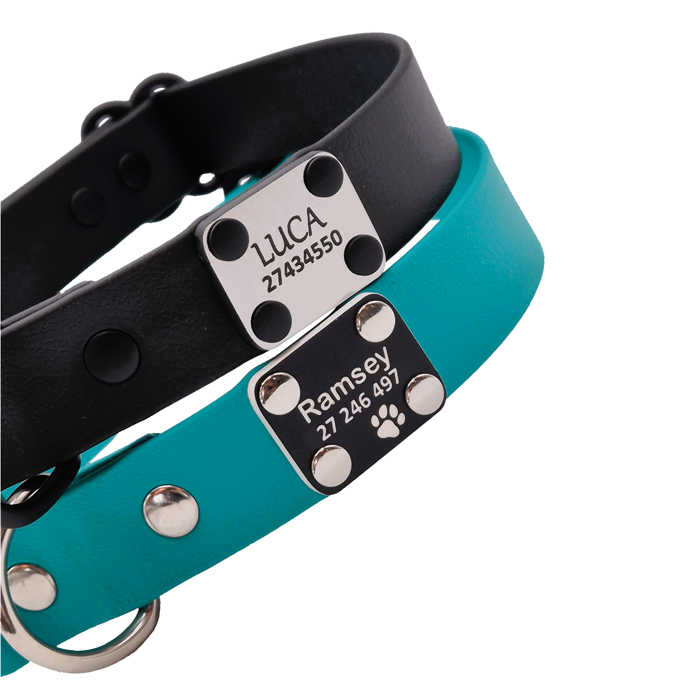 Scrag Tags on Dog Collars