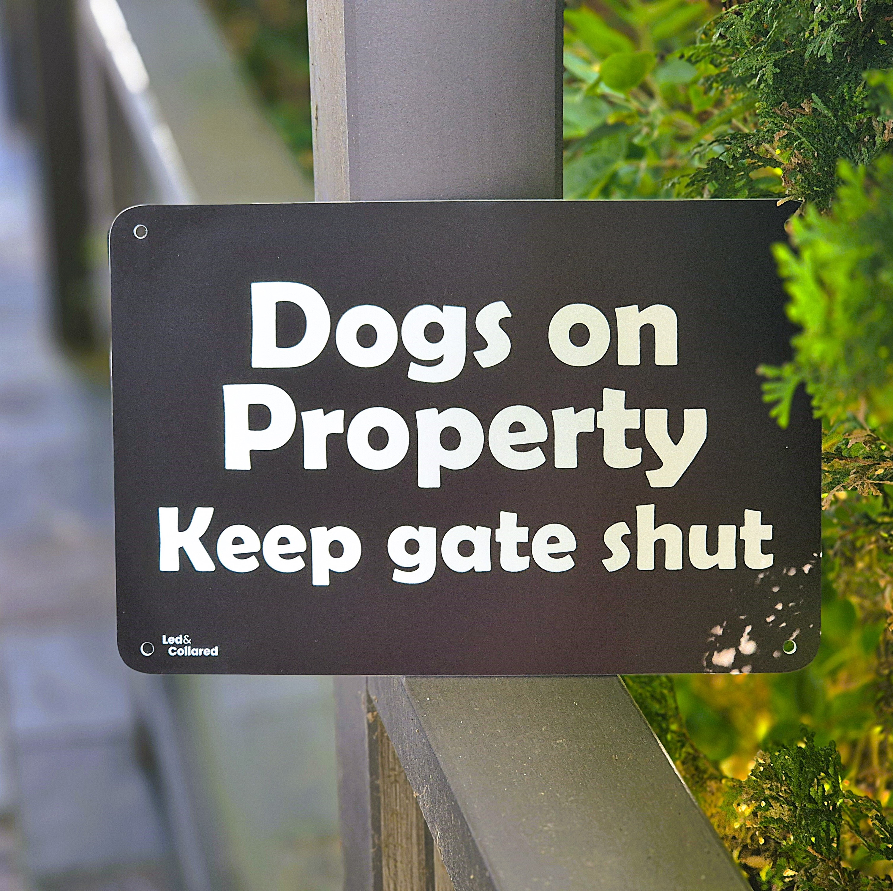 Custom Sign - Black and White