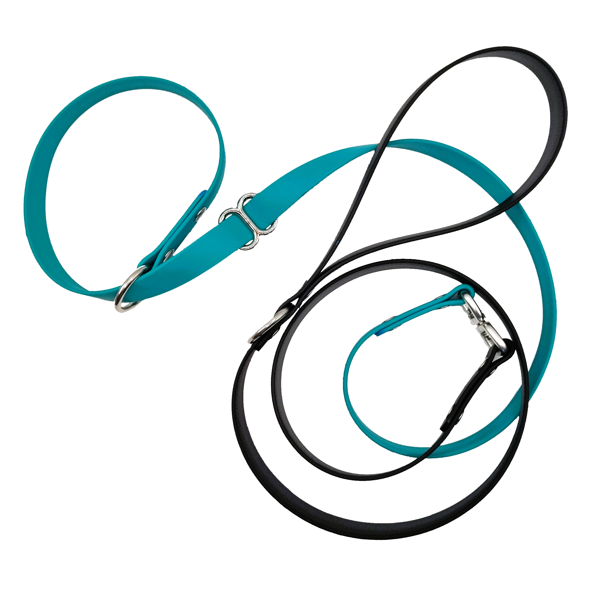 Dog Slip Lead - Teal and Black