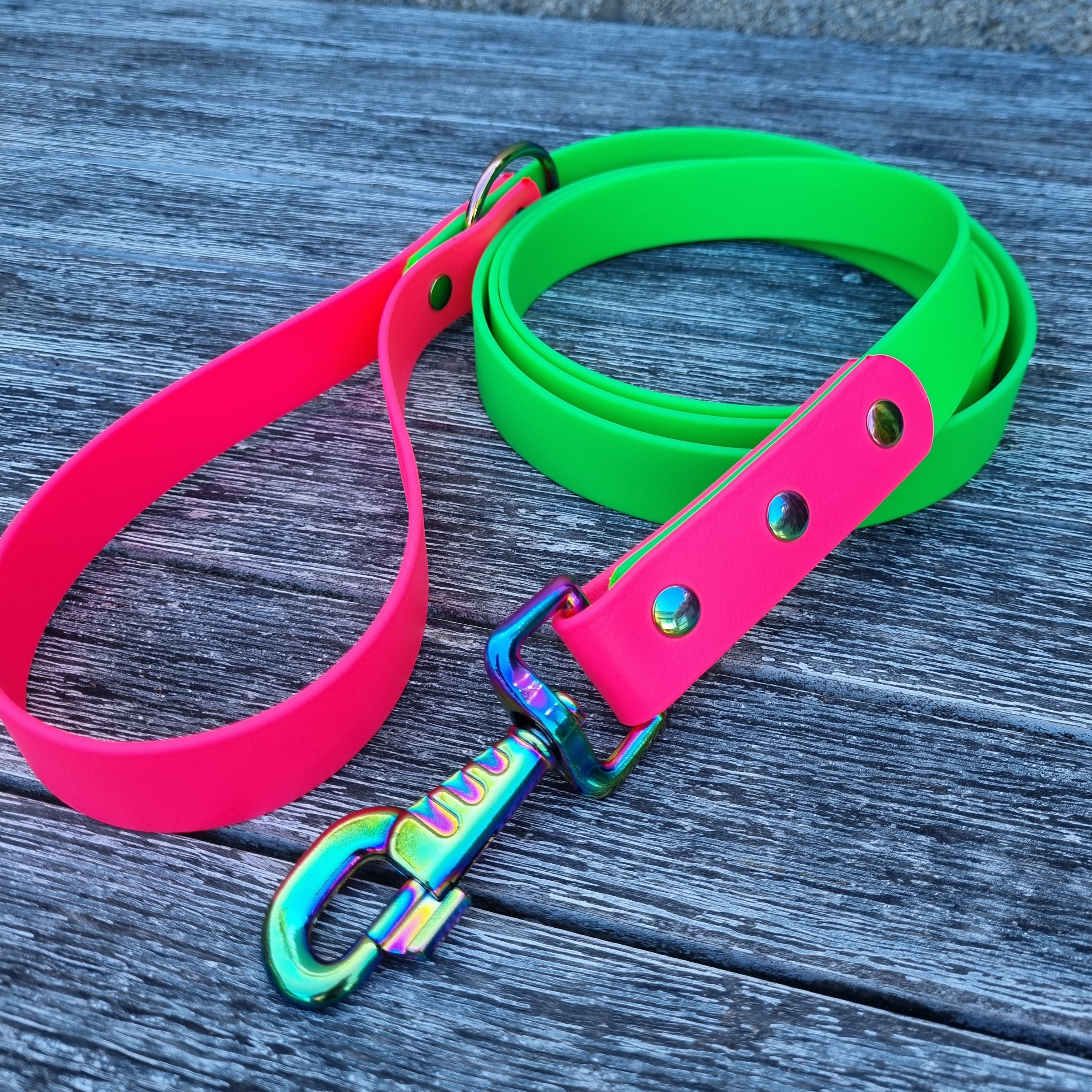 Dog Two-Tone Classic Lead - Green and Bright Pink