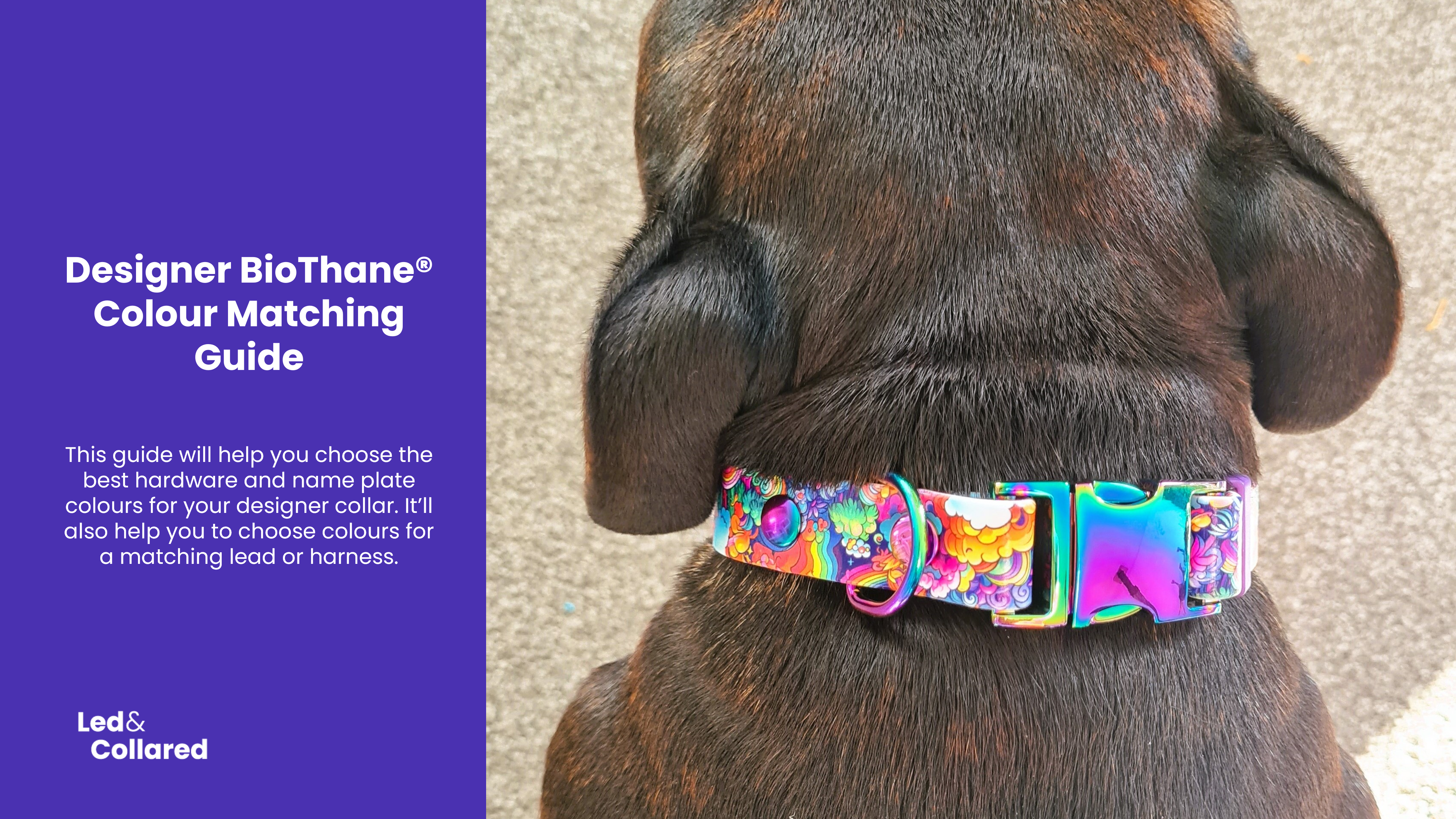 Guide: Matching designer BioThane® to other components