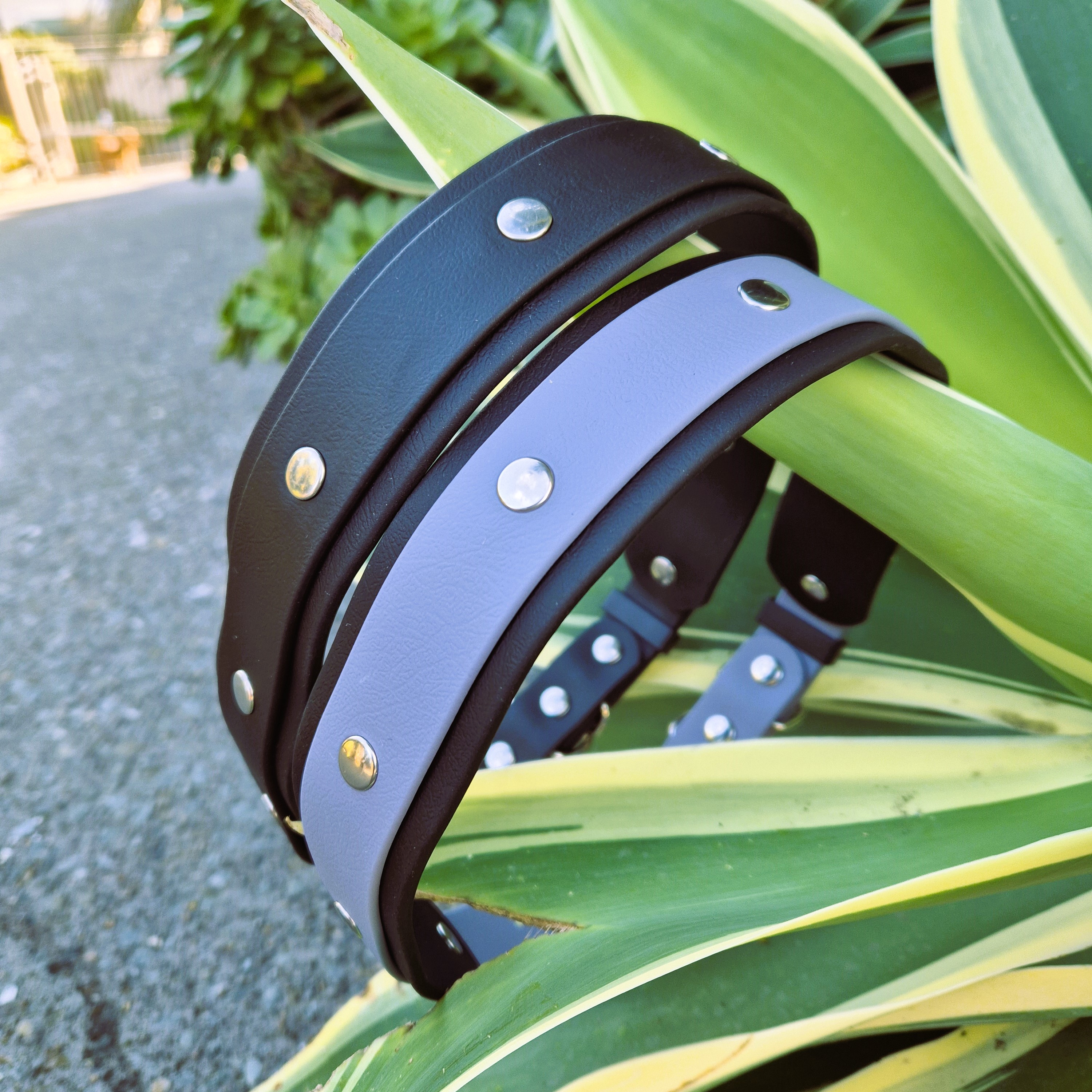 Double Dog Collar - Pair