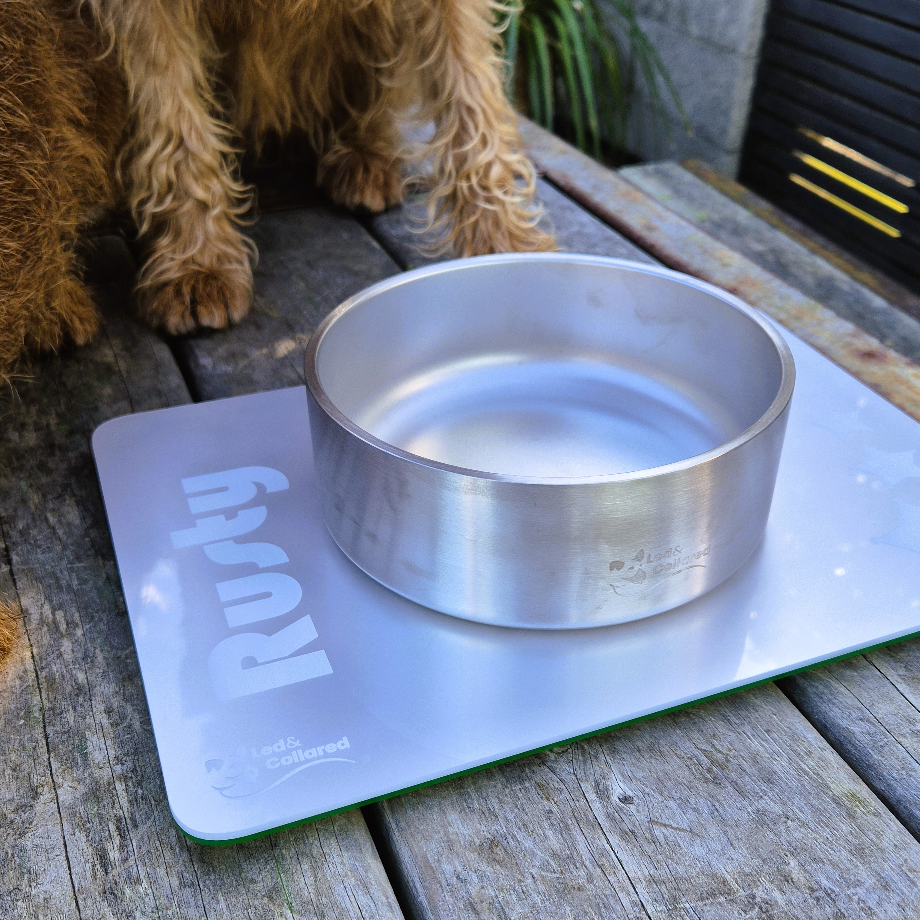 Dog Feeding Mat - Single - Silver and Blue