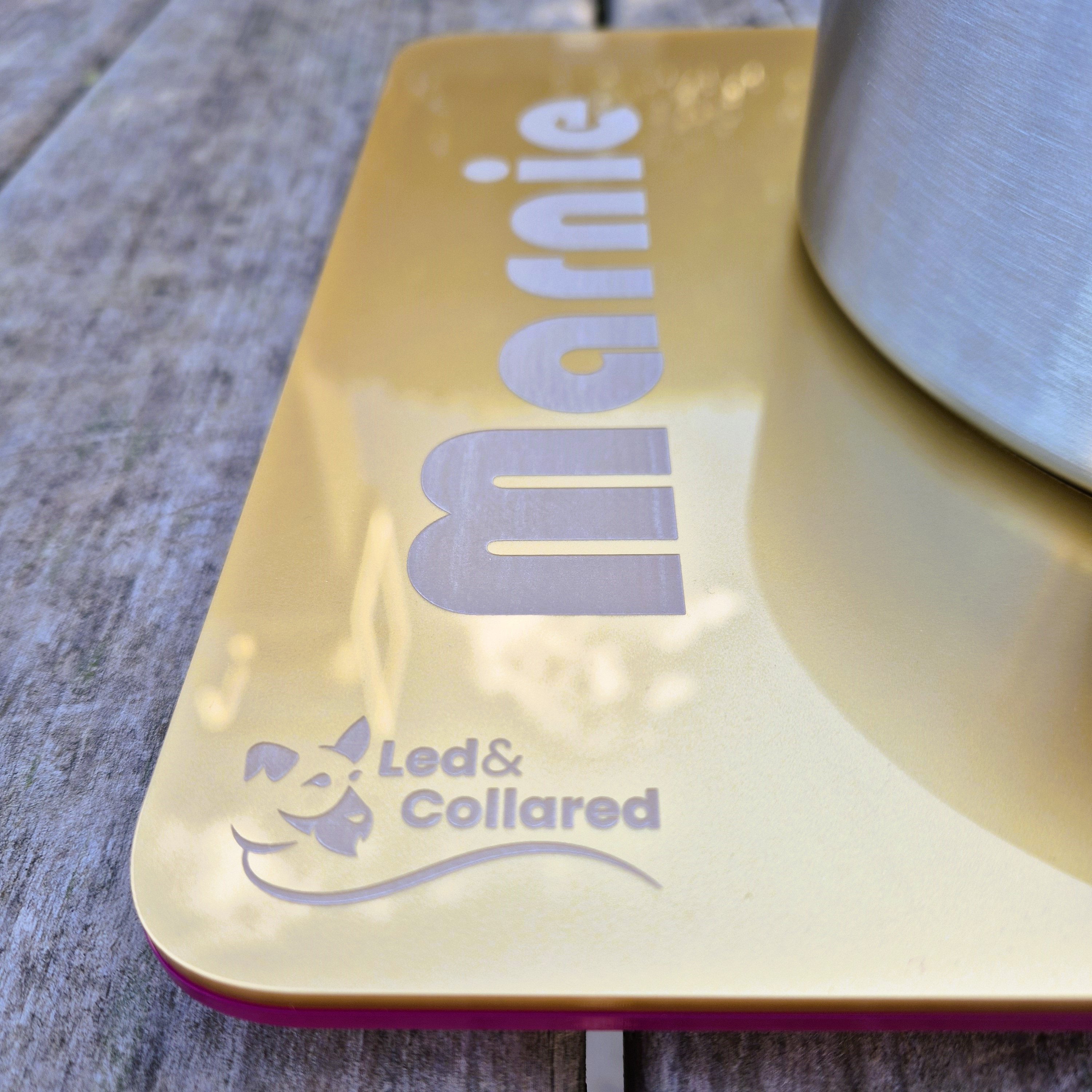 Dog Feeding Mat - Single - Gold and Pink Outside