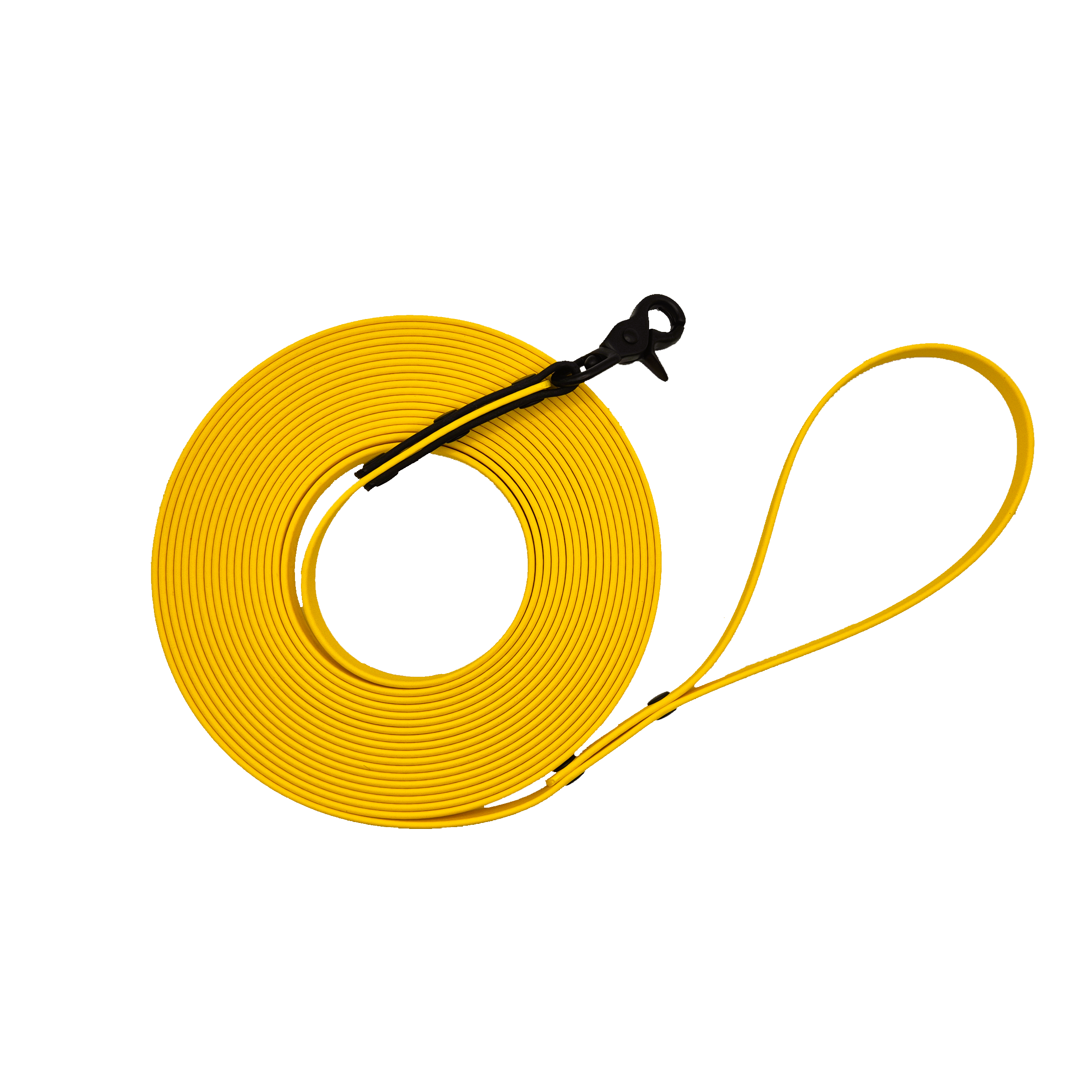 Dog Long Line Lead - Yellow and Black