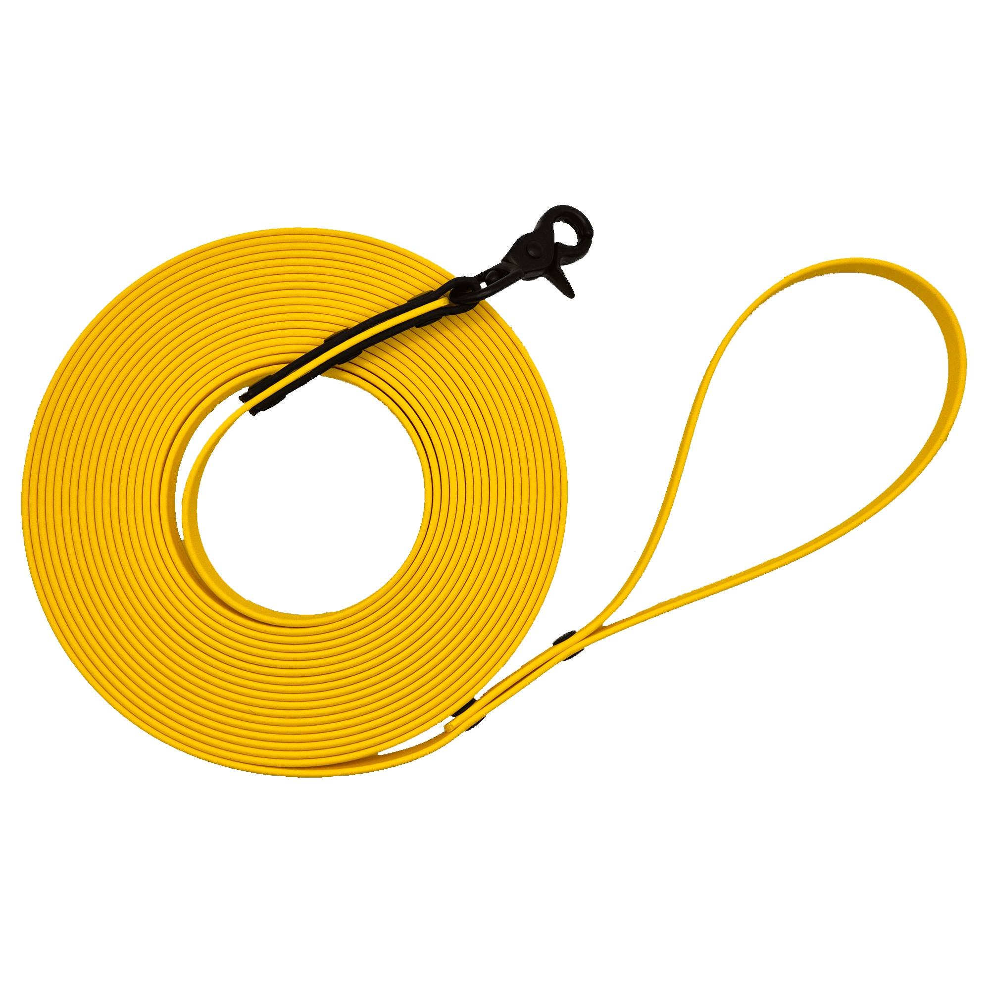 Dog Long Line Lead - Yellow and Black