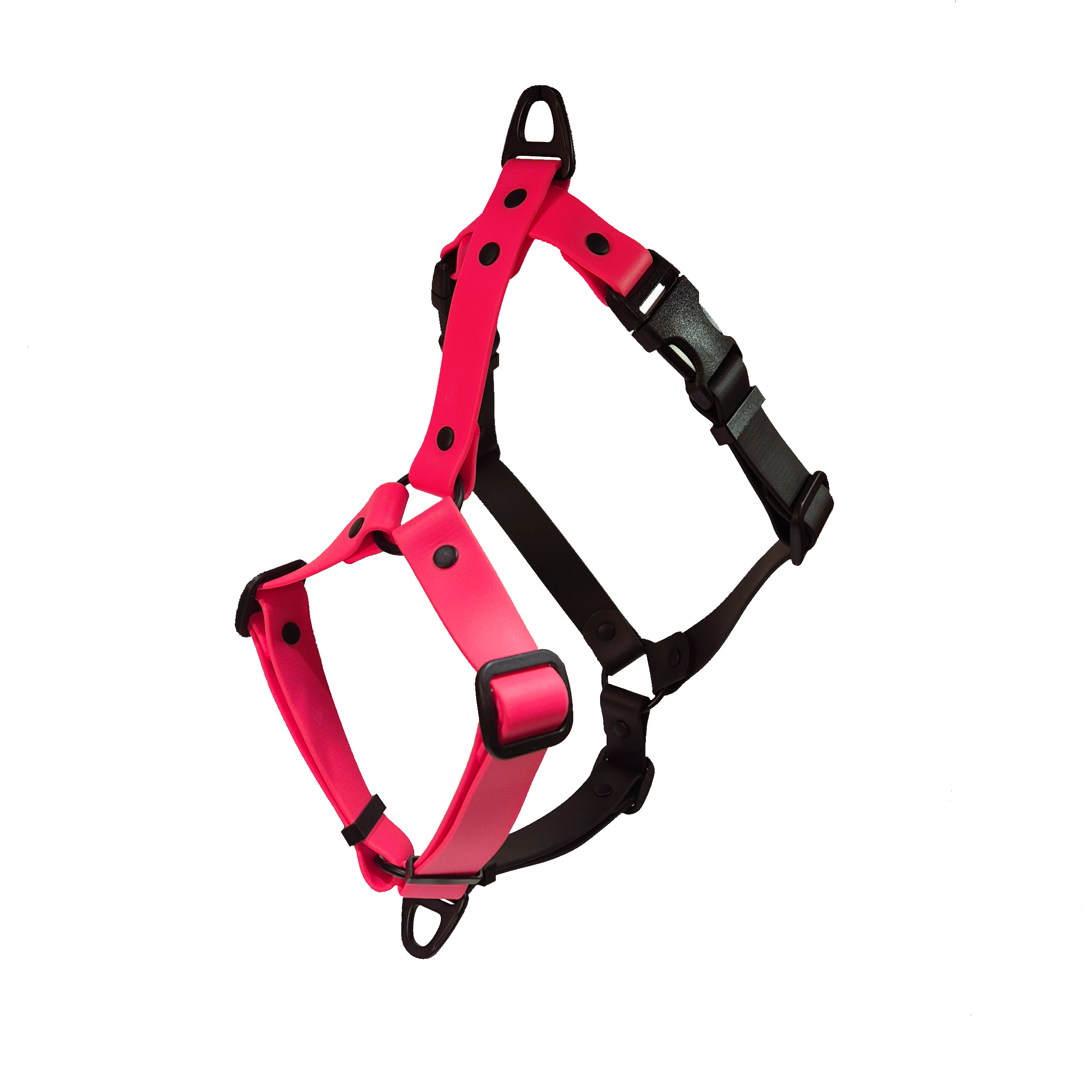 Anatomical Dog Harness