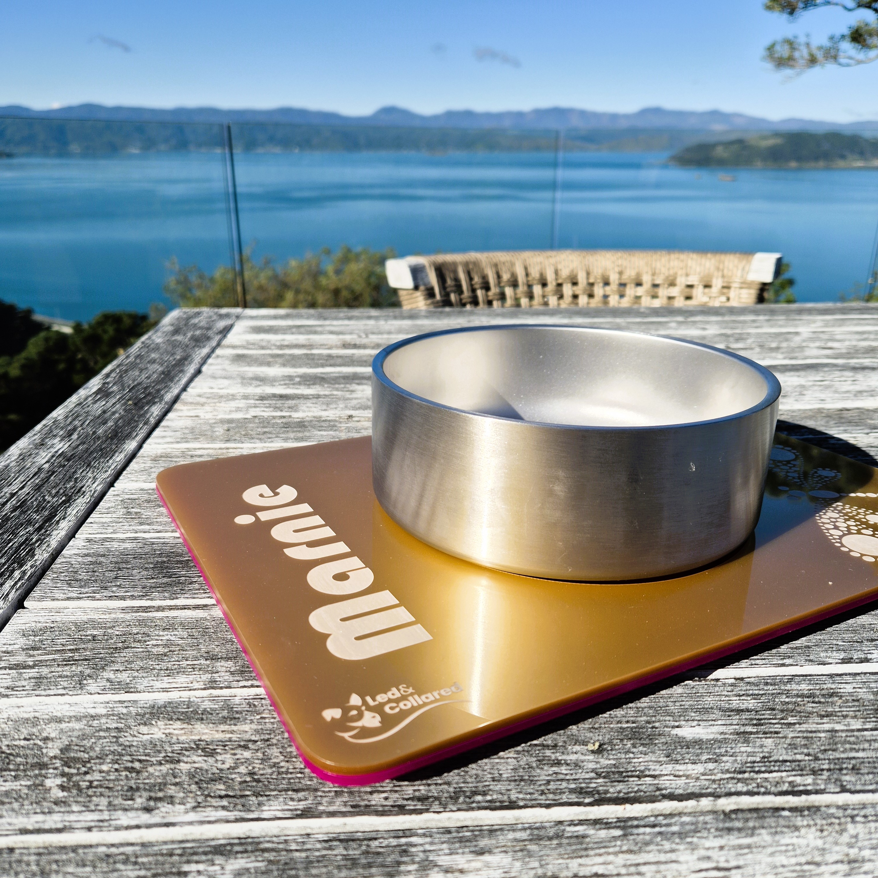 Cat Feeding Mat - Single - Gold and Pink