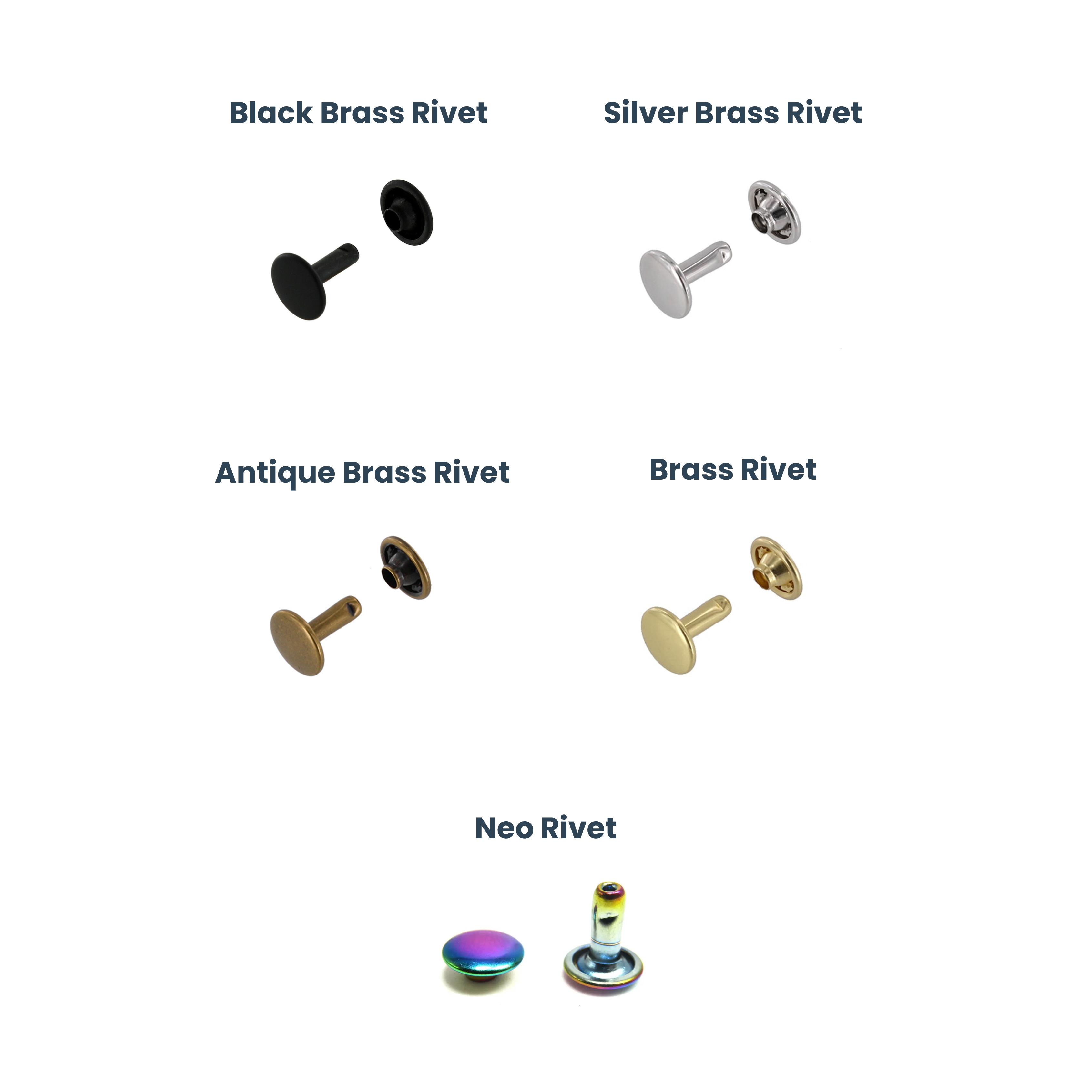 Attaching an Acrylic Scrag Tag