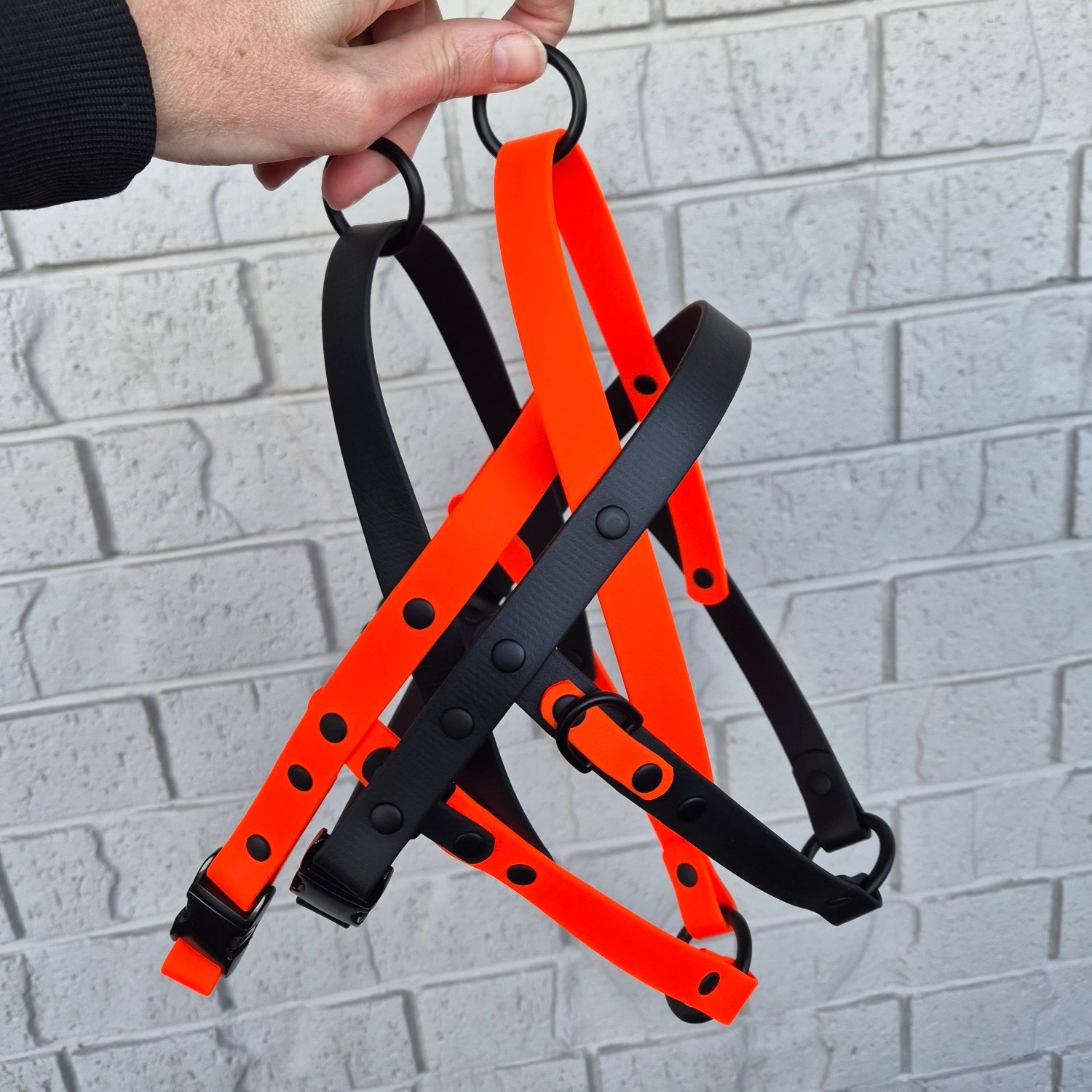 Quick Release Dog Harness - Orange and Black