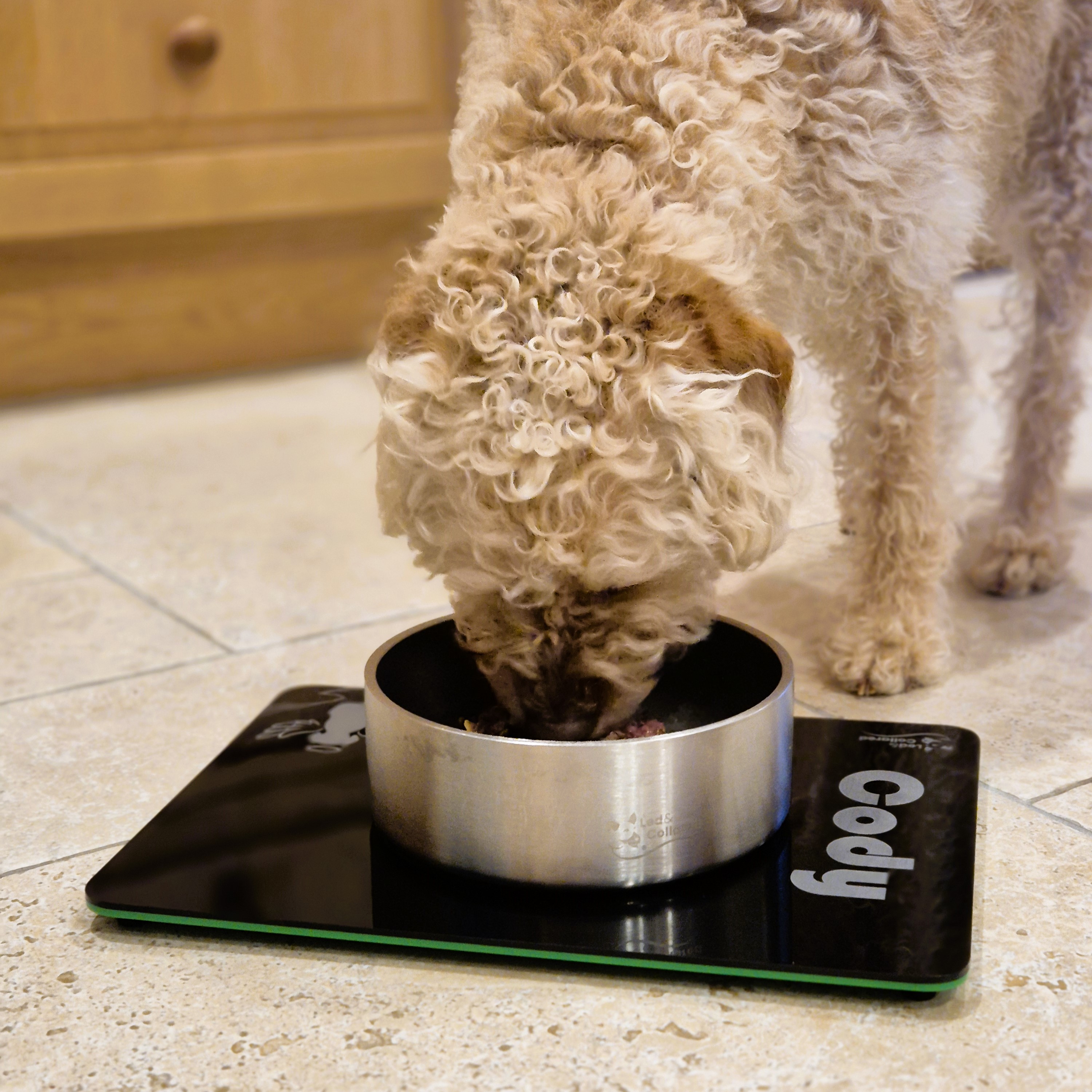 Dog Feeding Mat - Single - Black and Green, Labradoodle