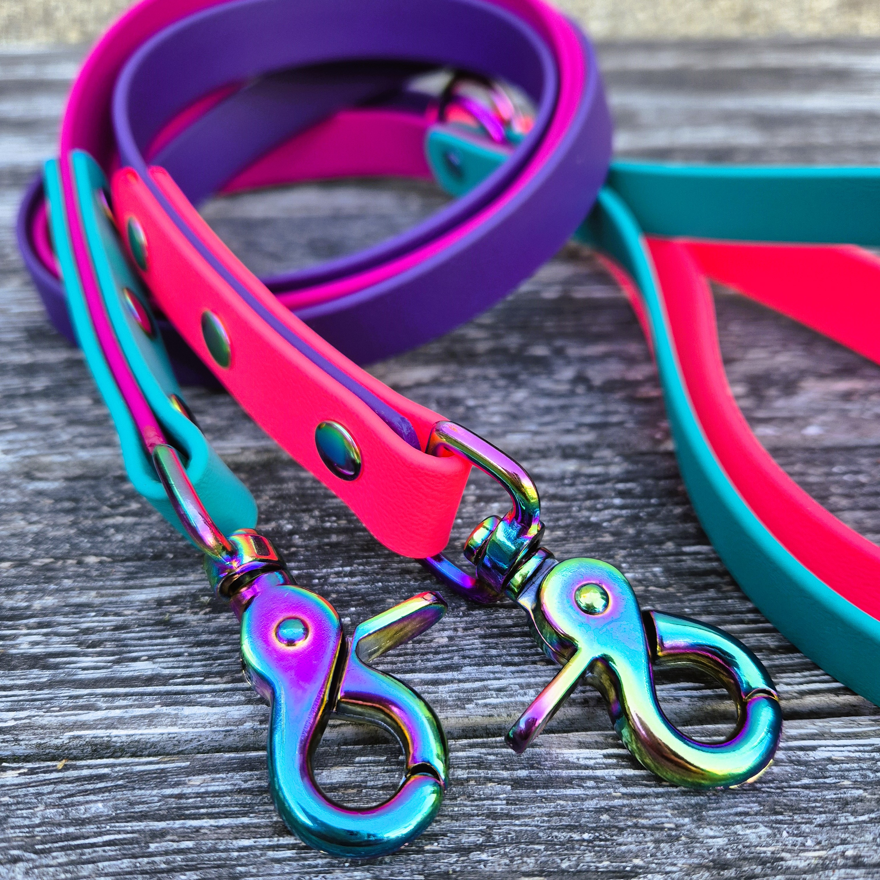 Dog Two-Tone Classic Leads