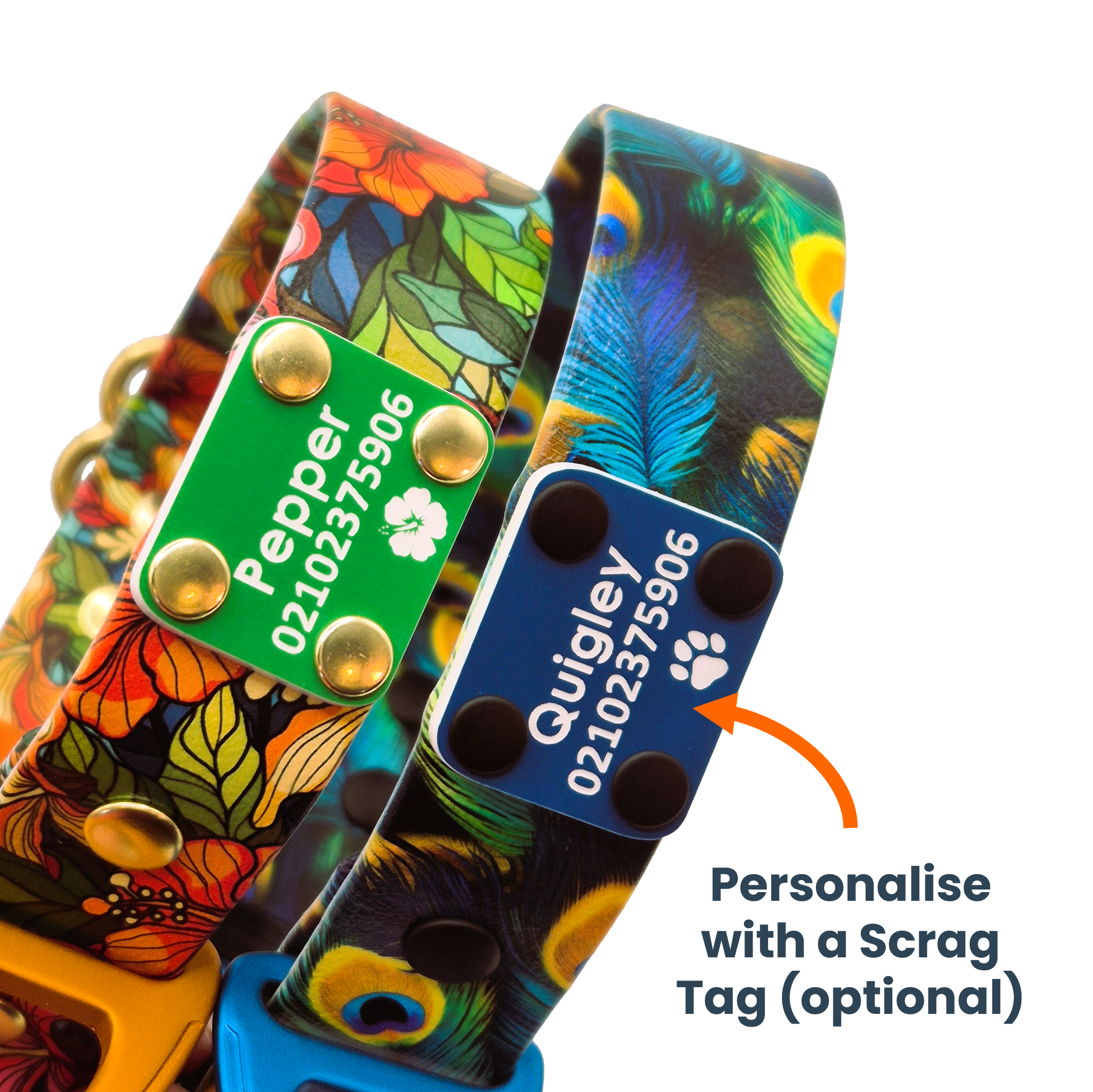 Scrag Tag on Designer BioThane