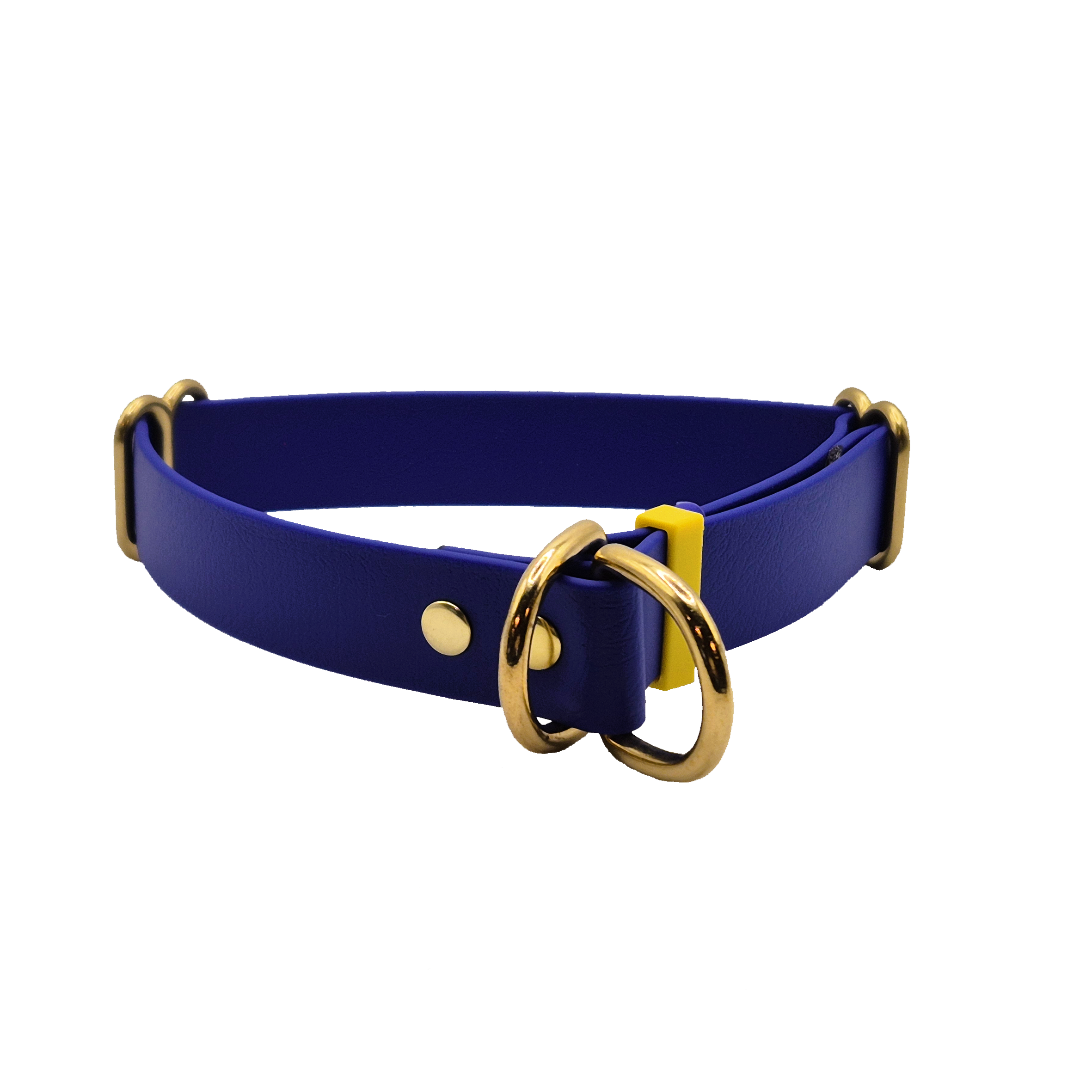 Limited Slip Collar - Royal Blue