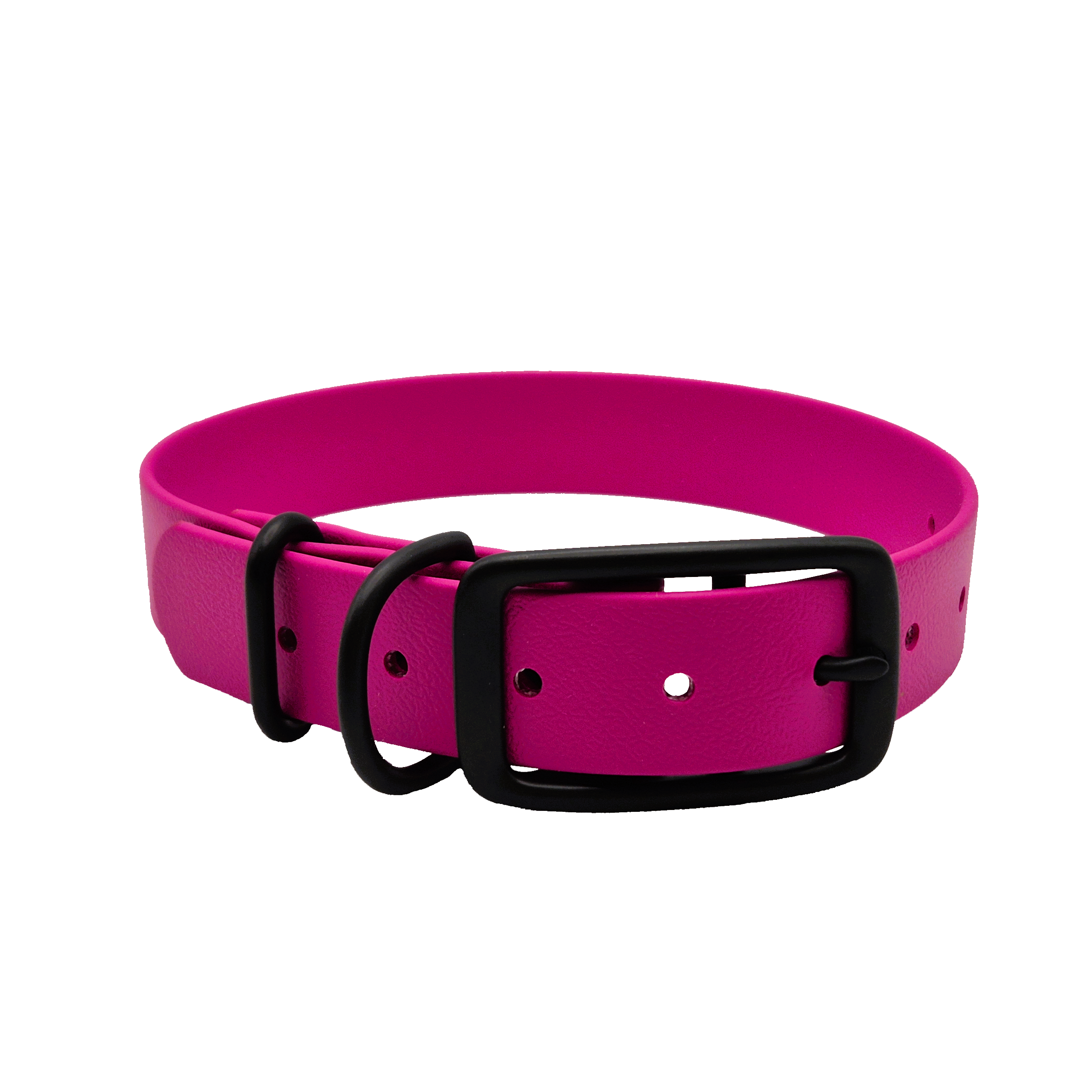 Classic Dog Collar - Magenta