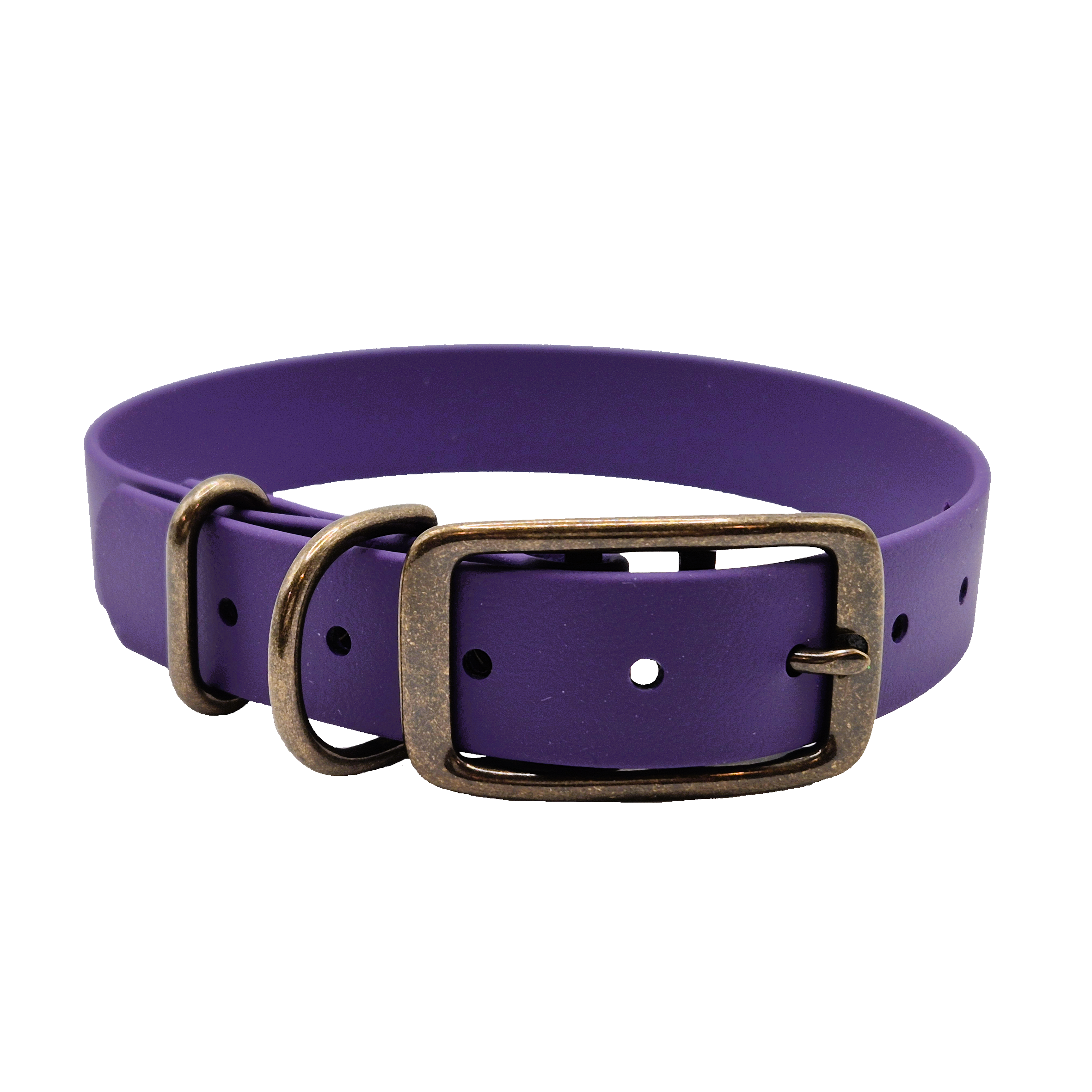 Classic Dog Collar -  Violet and Antique Brass