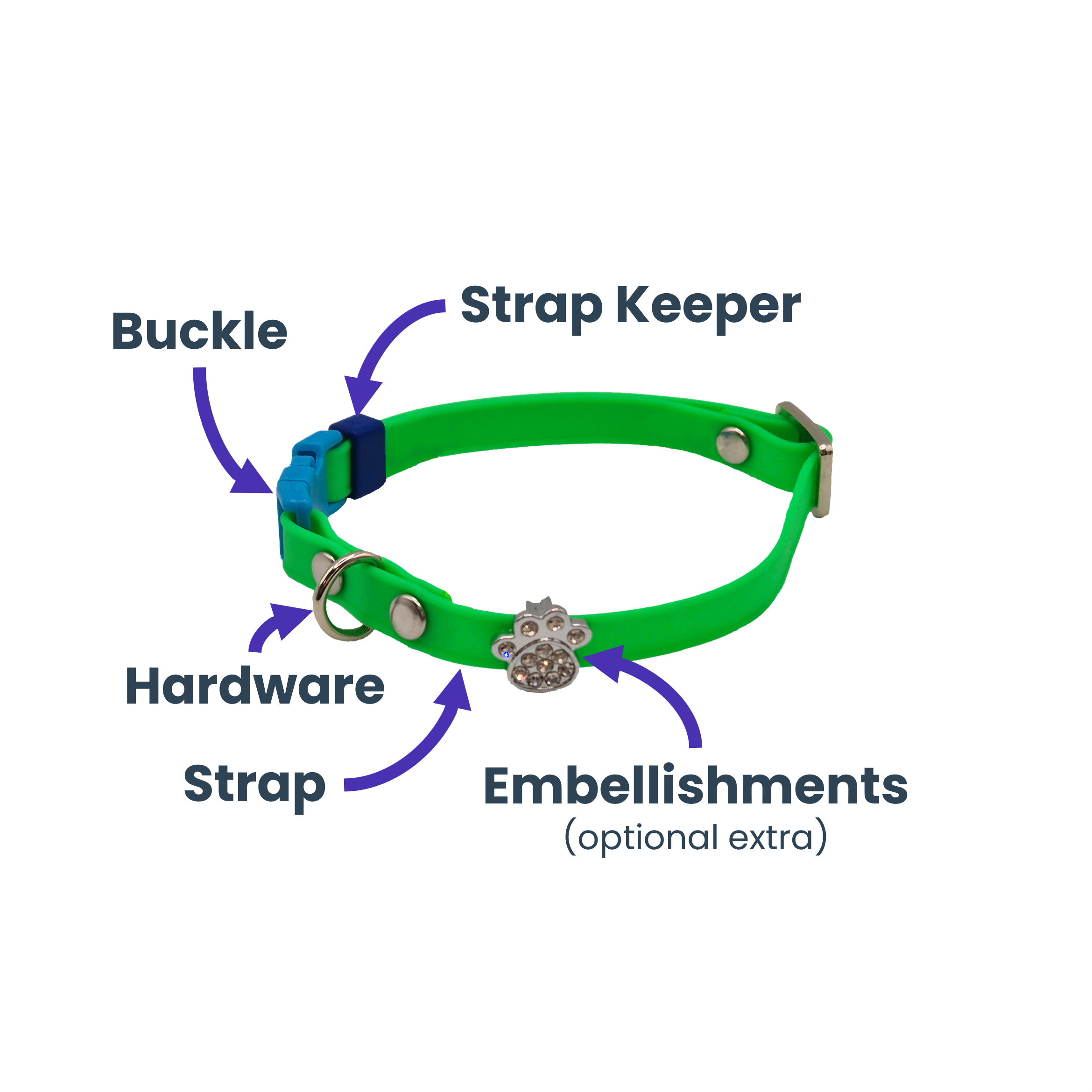 Custom Cat Collar - Labelled