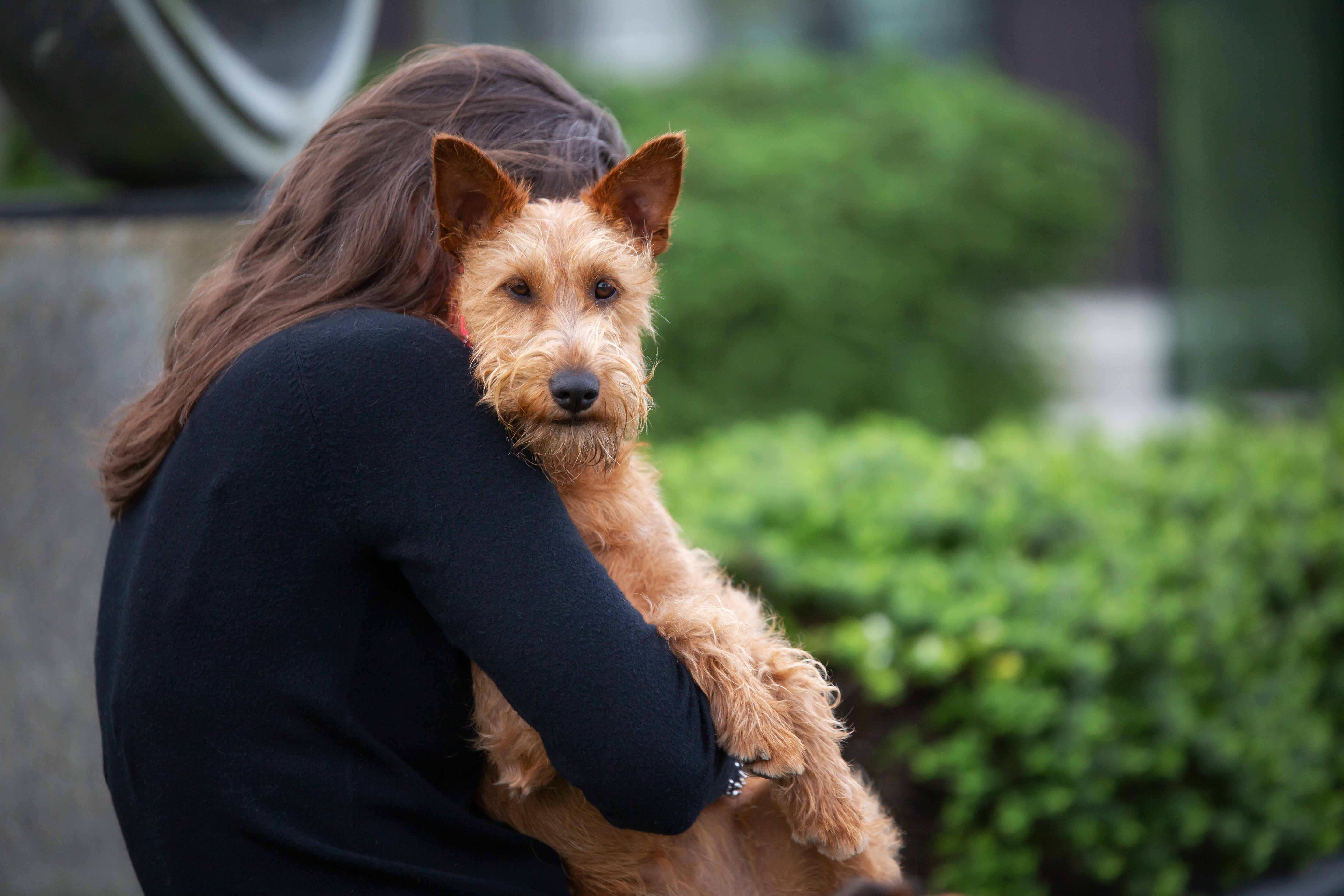 Premium Pet Gear Handcrafted in New Zealand