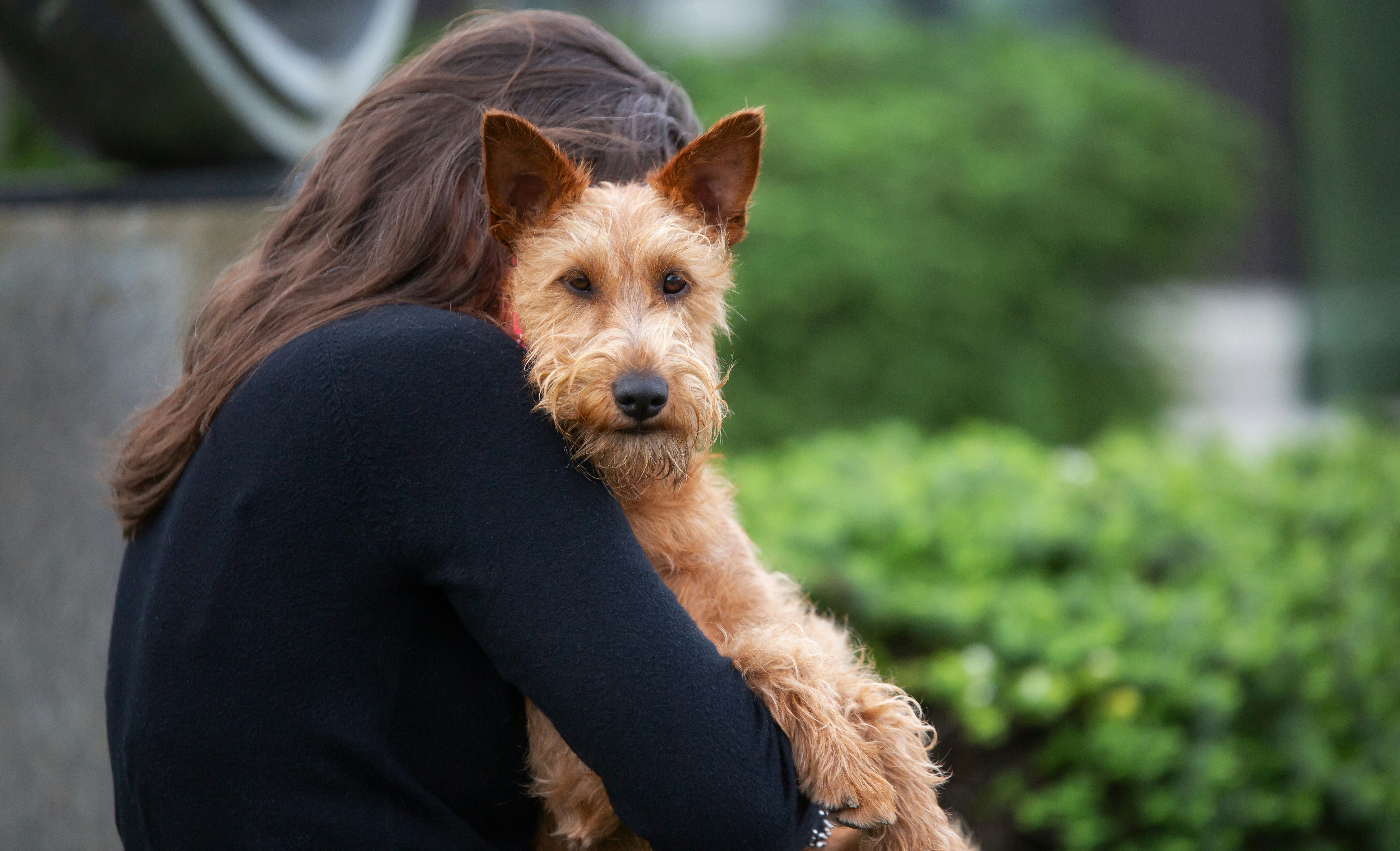 Premium Pet Gear Handcrafted in New Zealand
