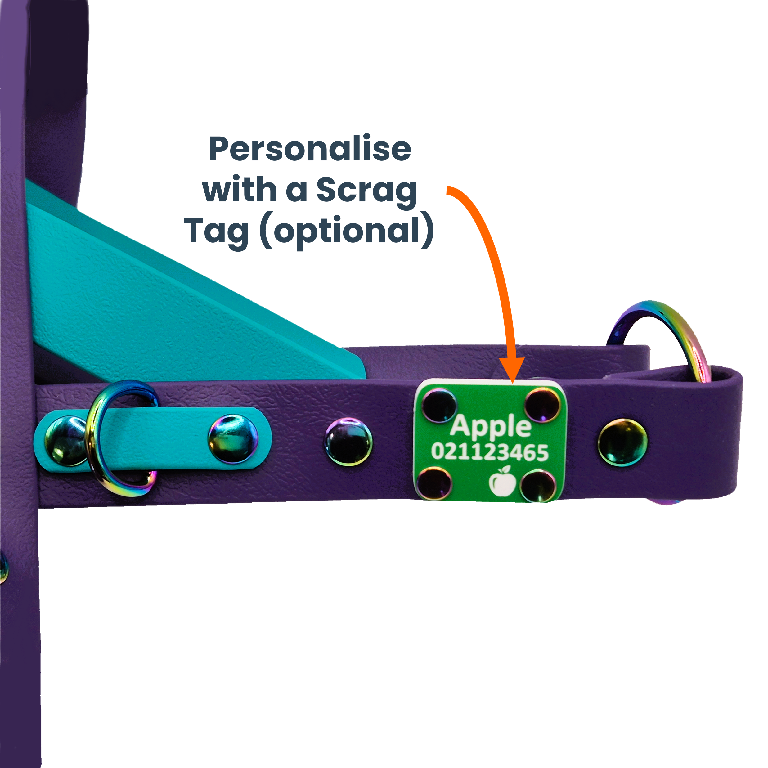 Quick Release Dog Harness - Scrag Tag Personalisation