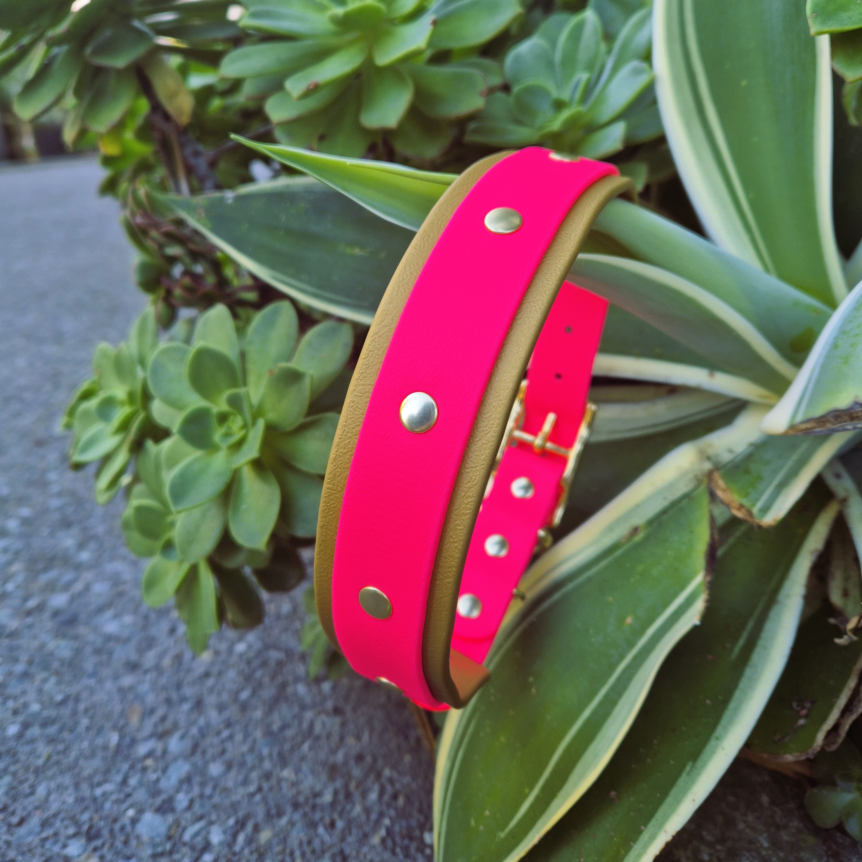 Double Dog Collar - Pink & Gold