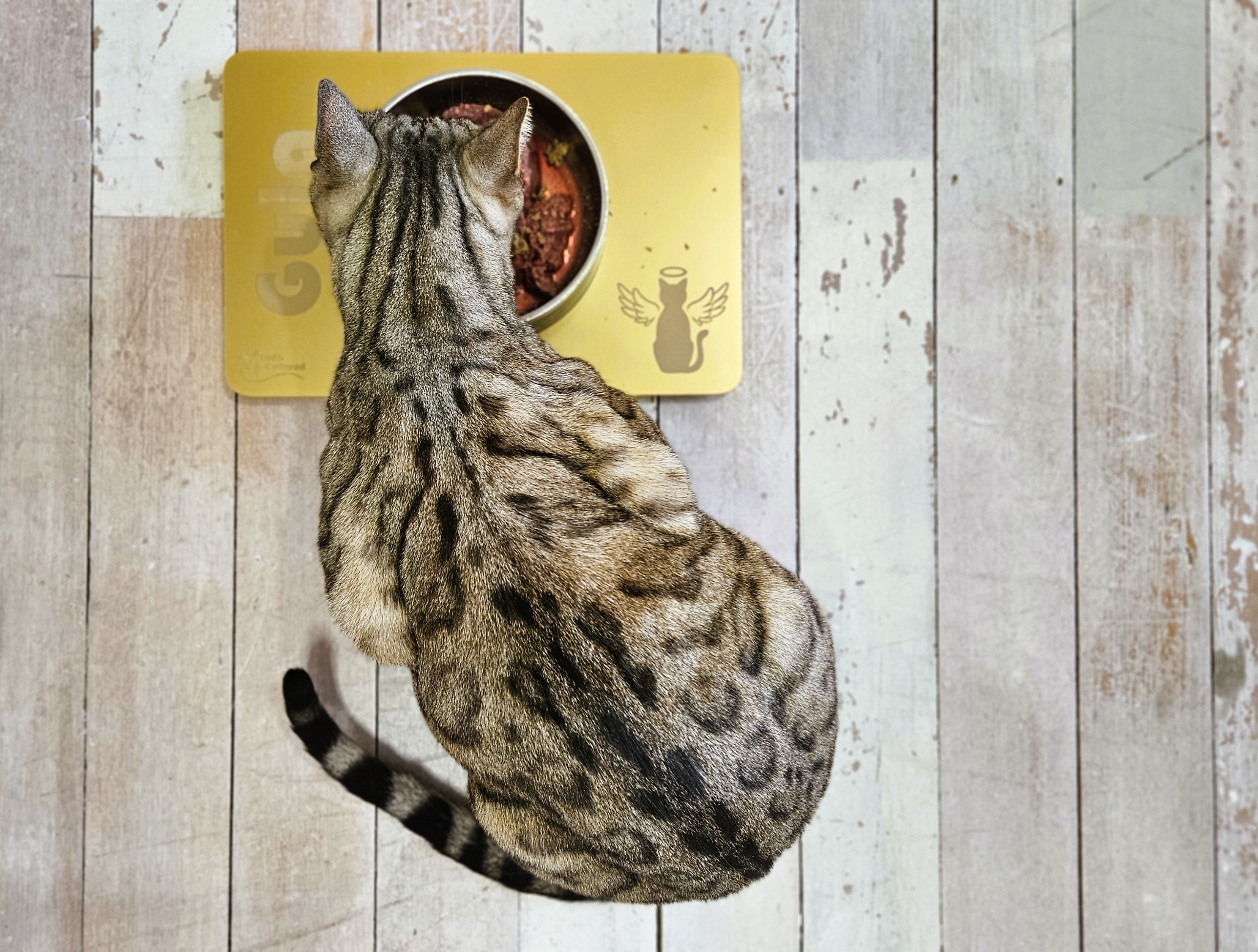Cat Feeding Mat - Single - Gold and Pink, Cat