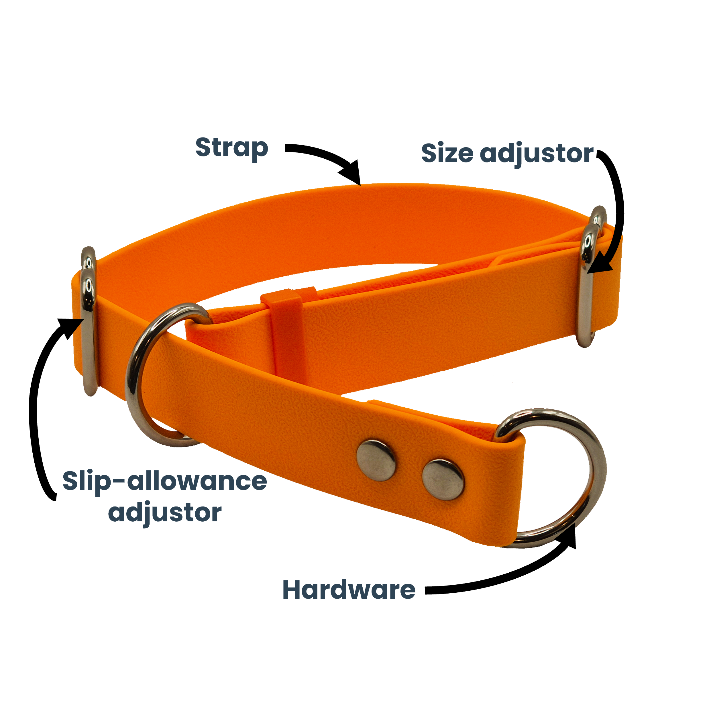 Limited Slip Collar - Light Orange, Labelled